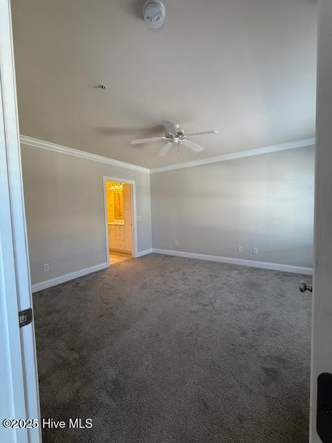 100537767 | Photo 23