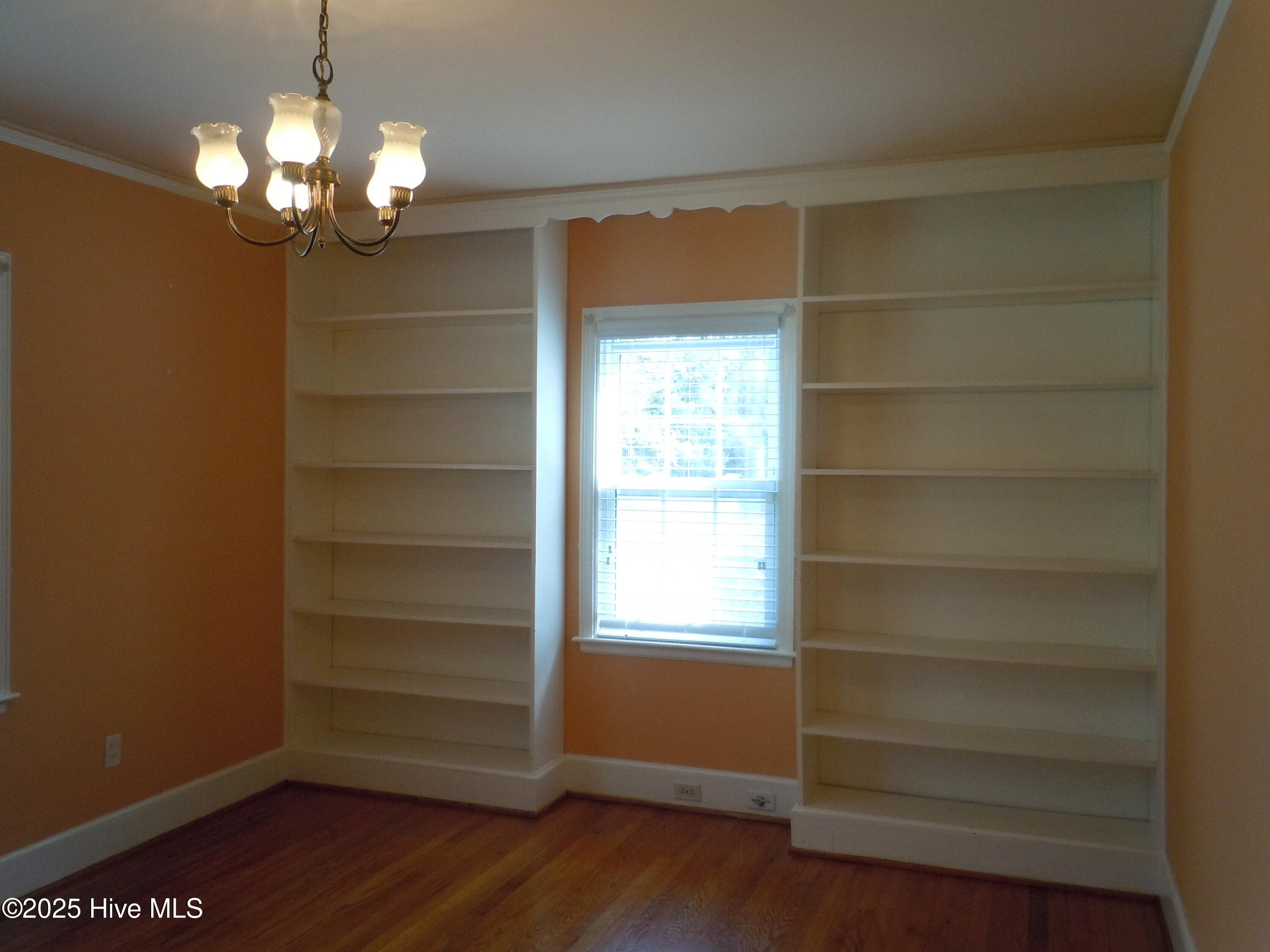 100536293 | Photo 11