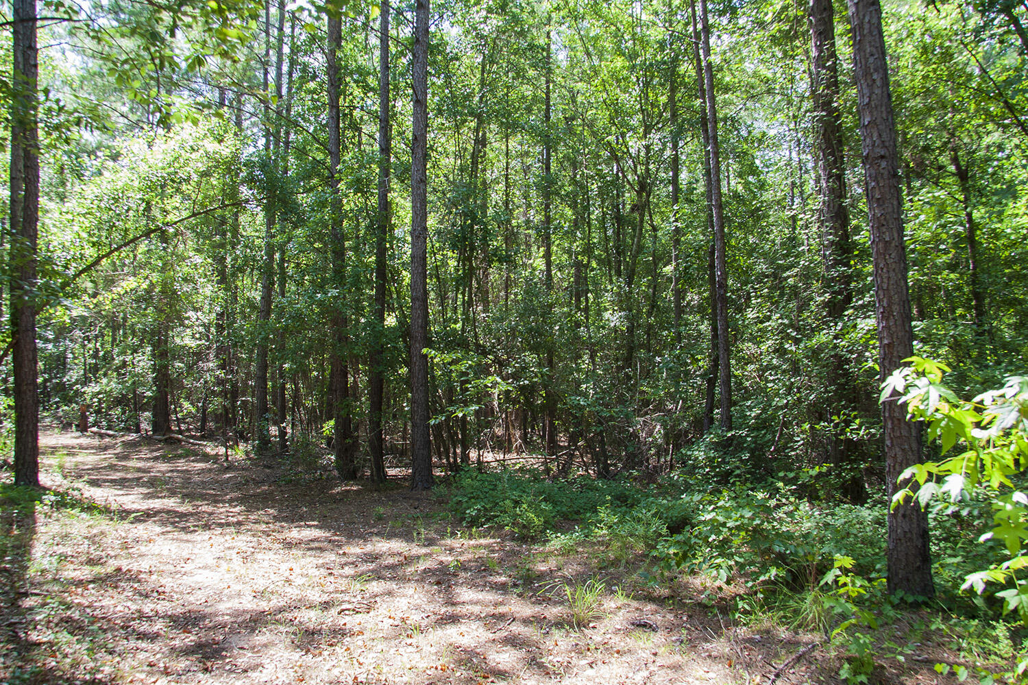 1515C HEPHZIBAH - MCBEAN Road, Hephzibah, GA, 30815