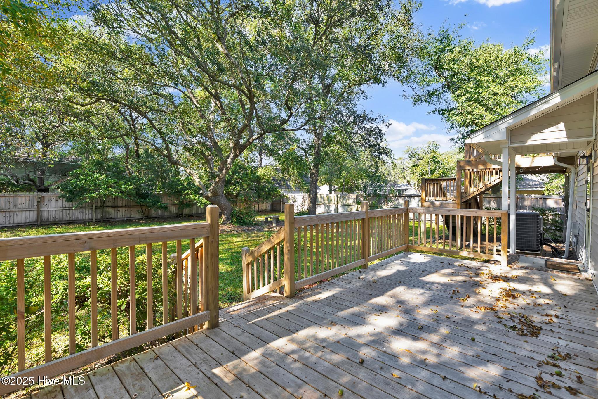 100541095 | Photo 39