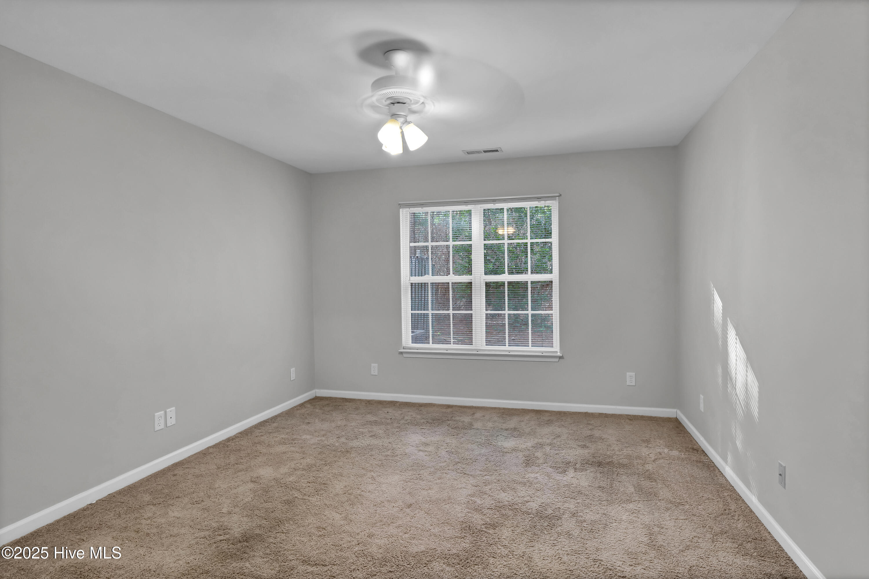 100483467 | Photo 17