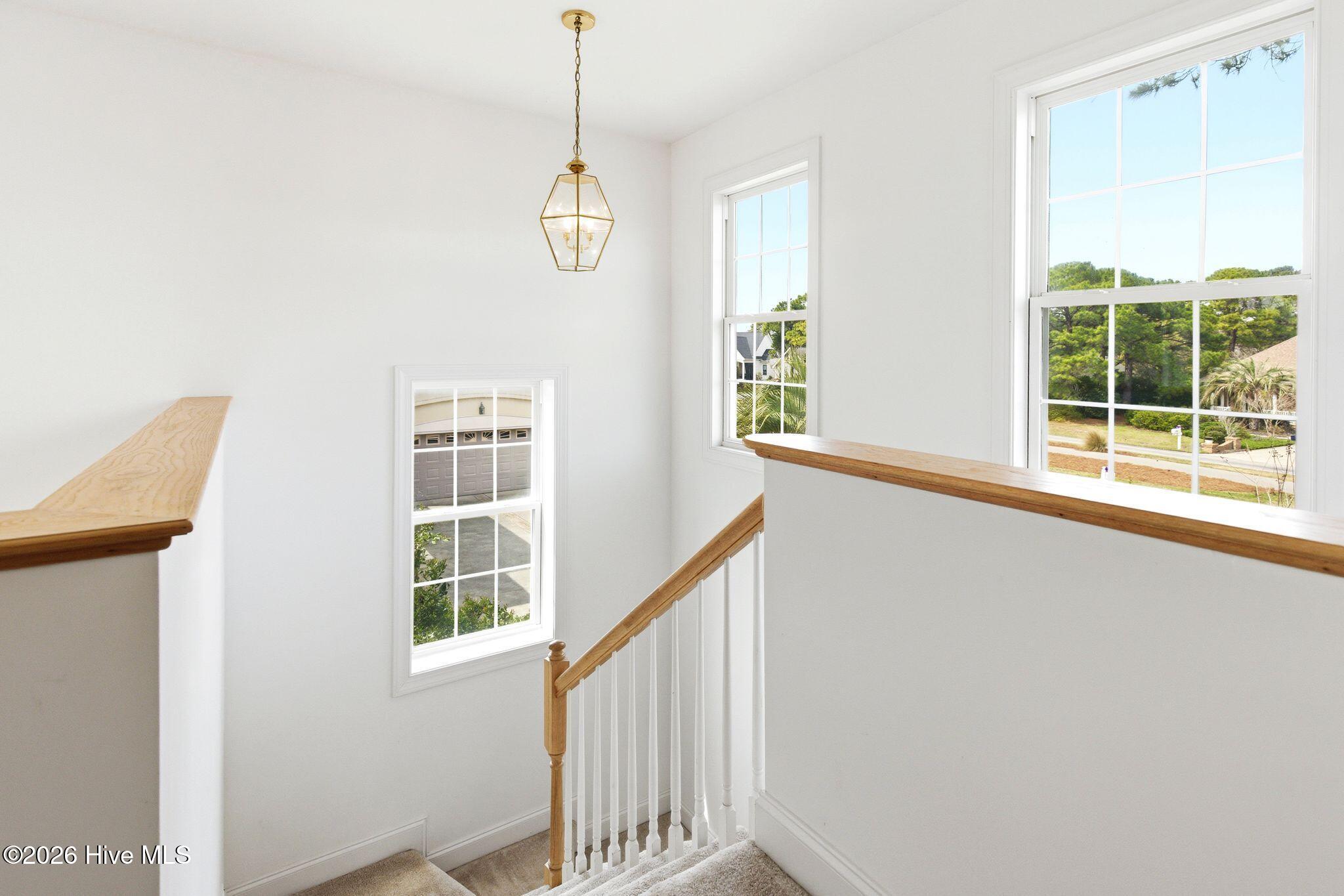 100564291 | Photo 41