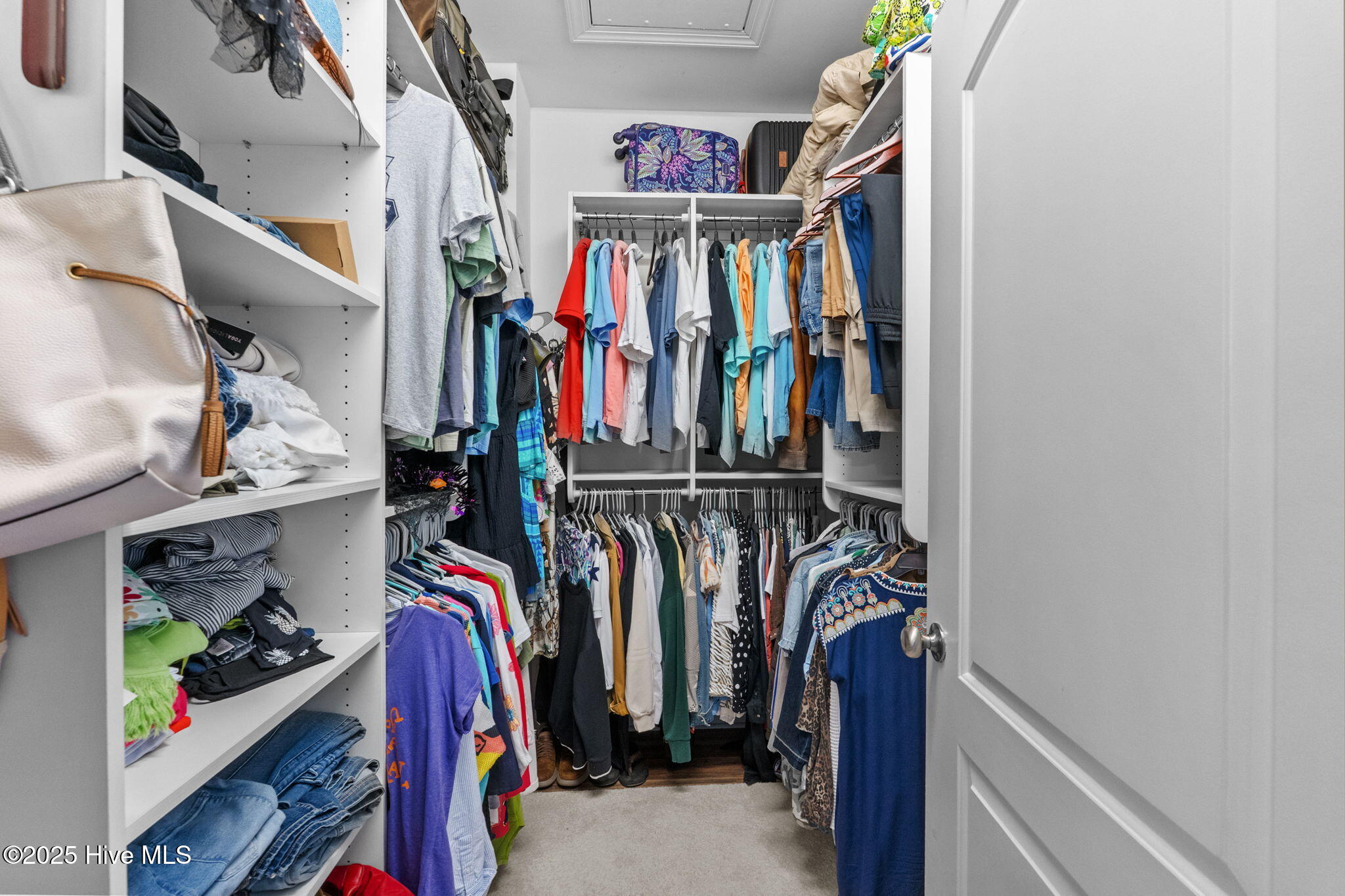 100551443 | Photo 29