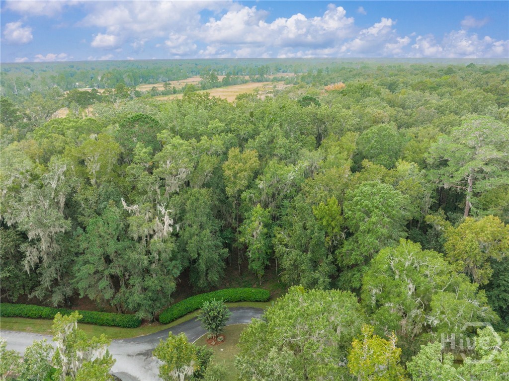 430 McAllister, Richmond Hill, Georgia, 0 ,Land,For sale,McAllister,SA348380 430 McAllister, Richmond Hill, Georgia, 0 ,Land,For sale,McAllister,SA348380