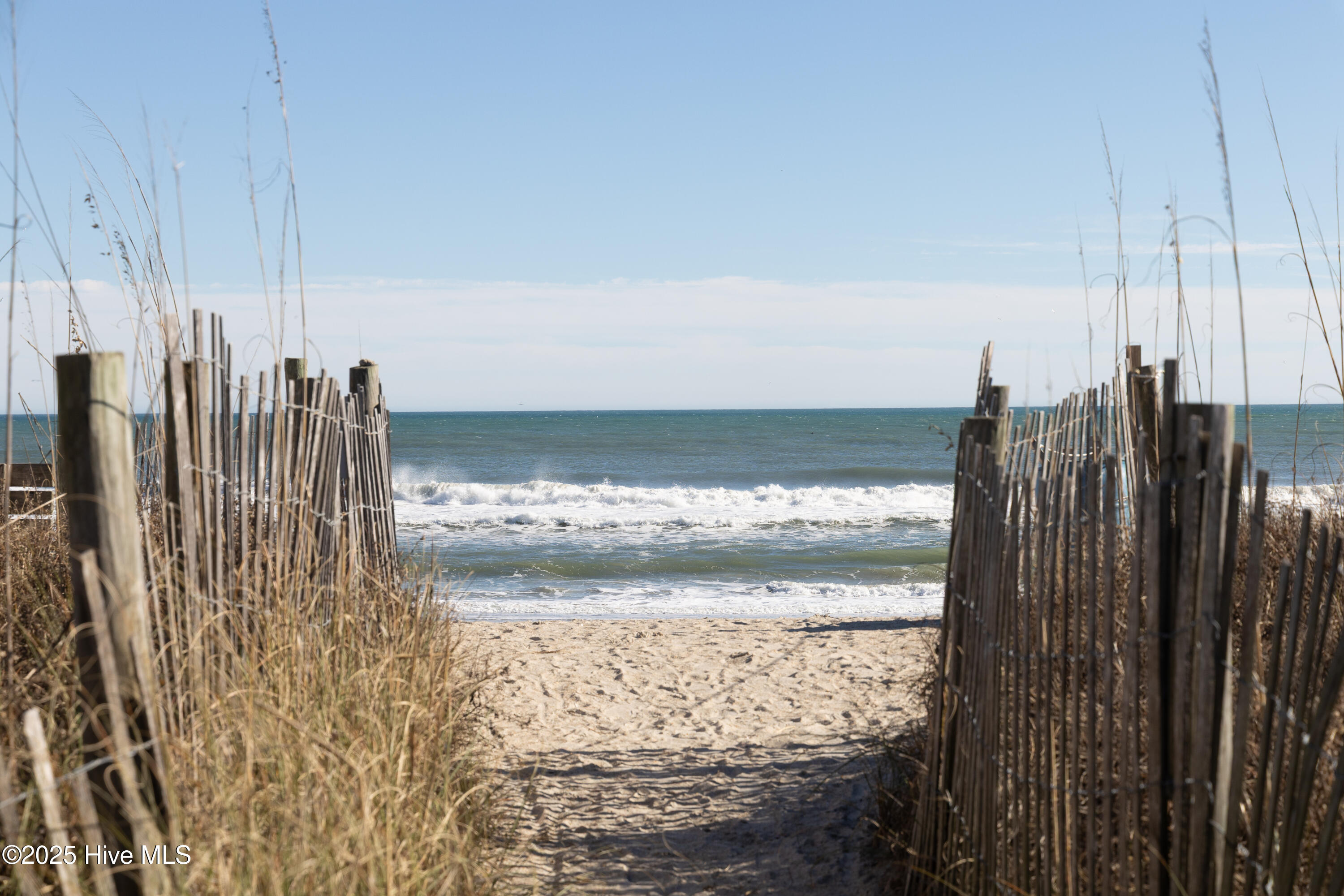 100547069 | Photo 29