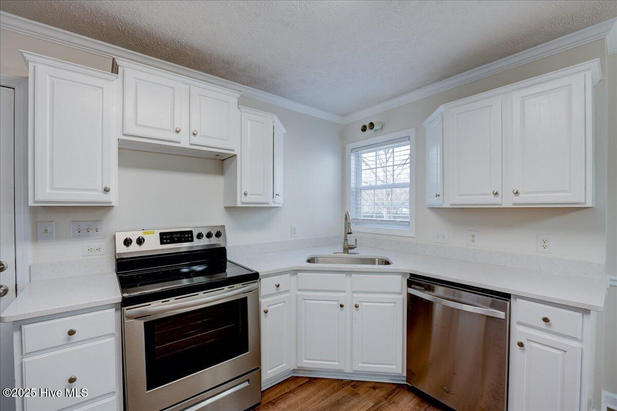 100546036 | Photo 31