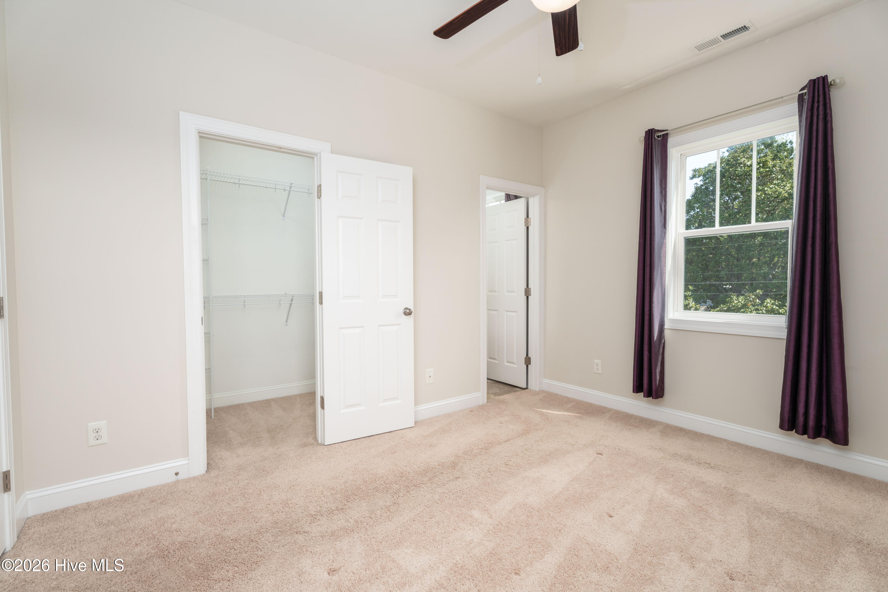 100569563 | Photo 15