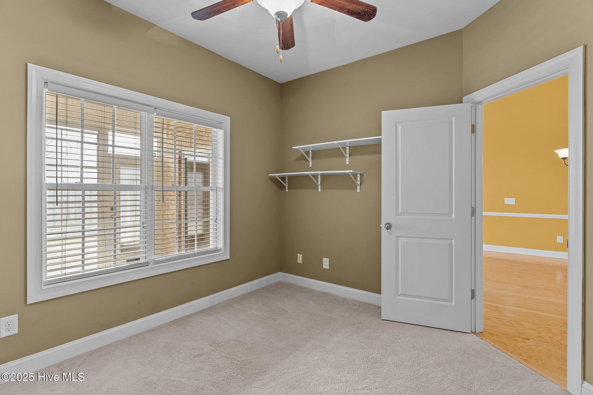 100513214 | Photo 33