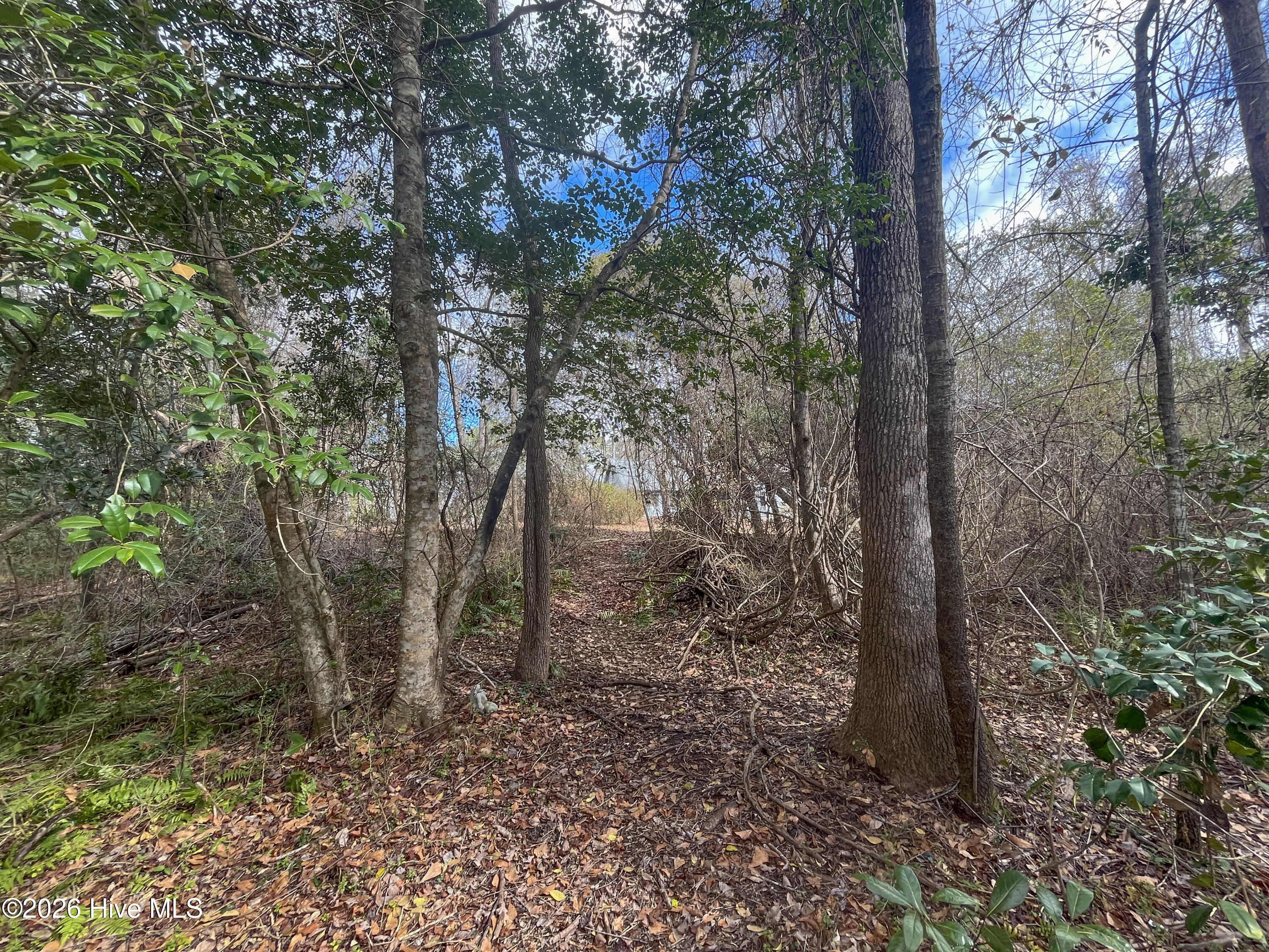 100557904 | Photo 38