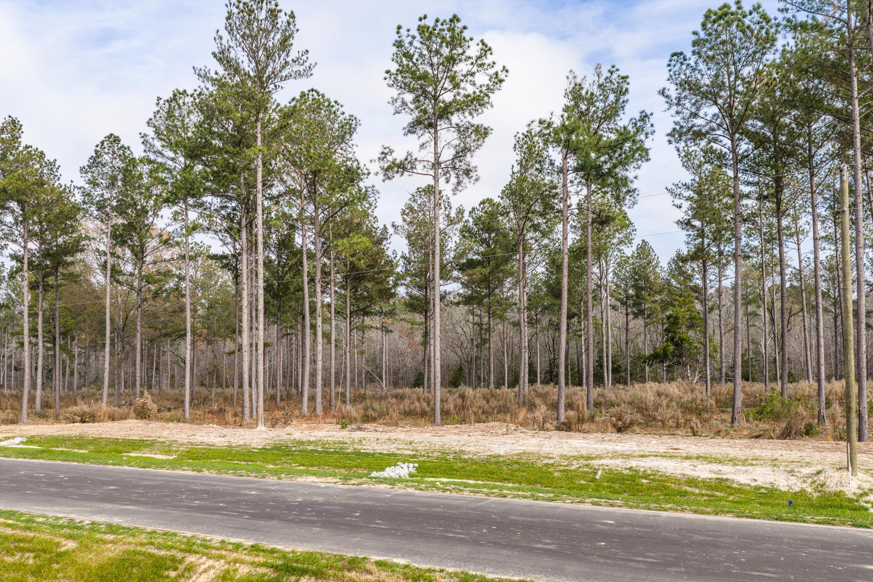 159 Beagle Chase Drive, Appling, GA, 30802