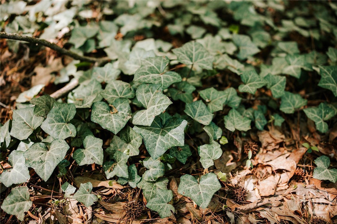 000 Union Point Road, Stephens, GA, 30667