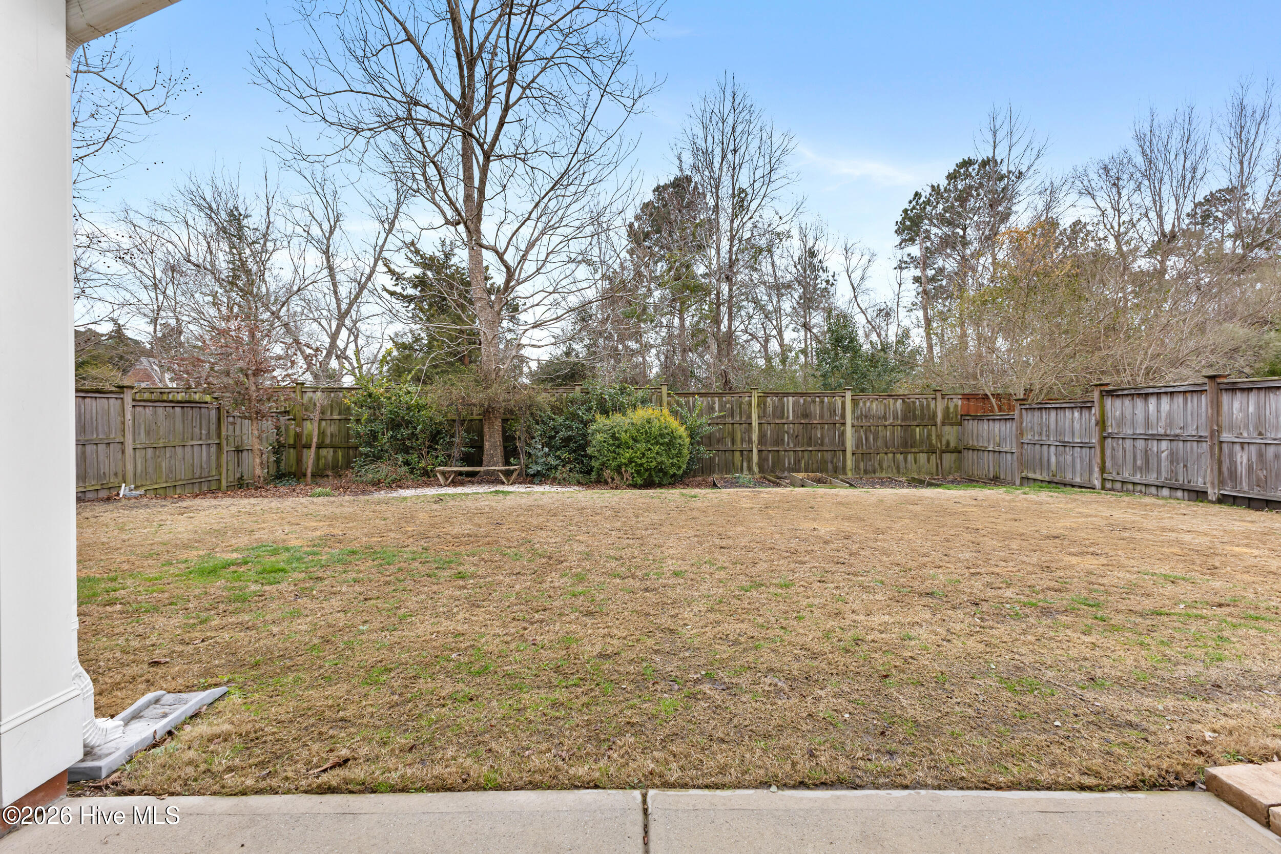 100554071 | Photo 40