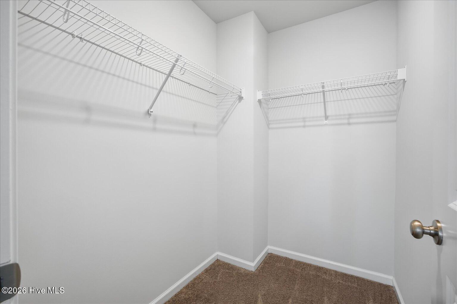 100548864 | Photo 35