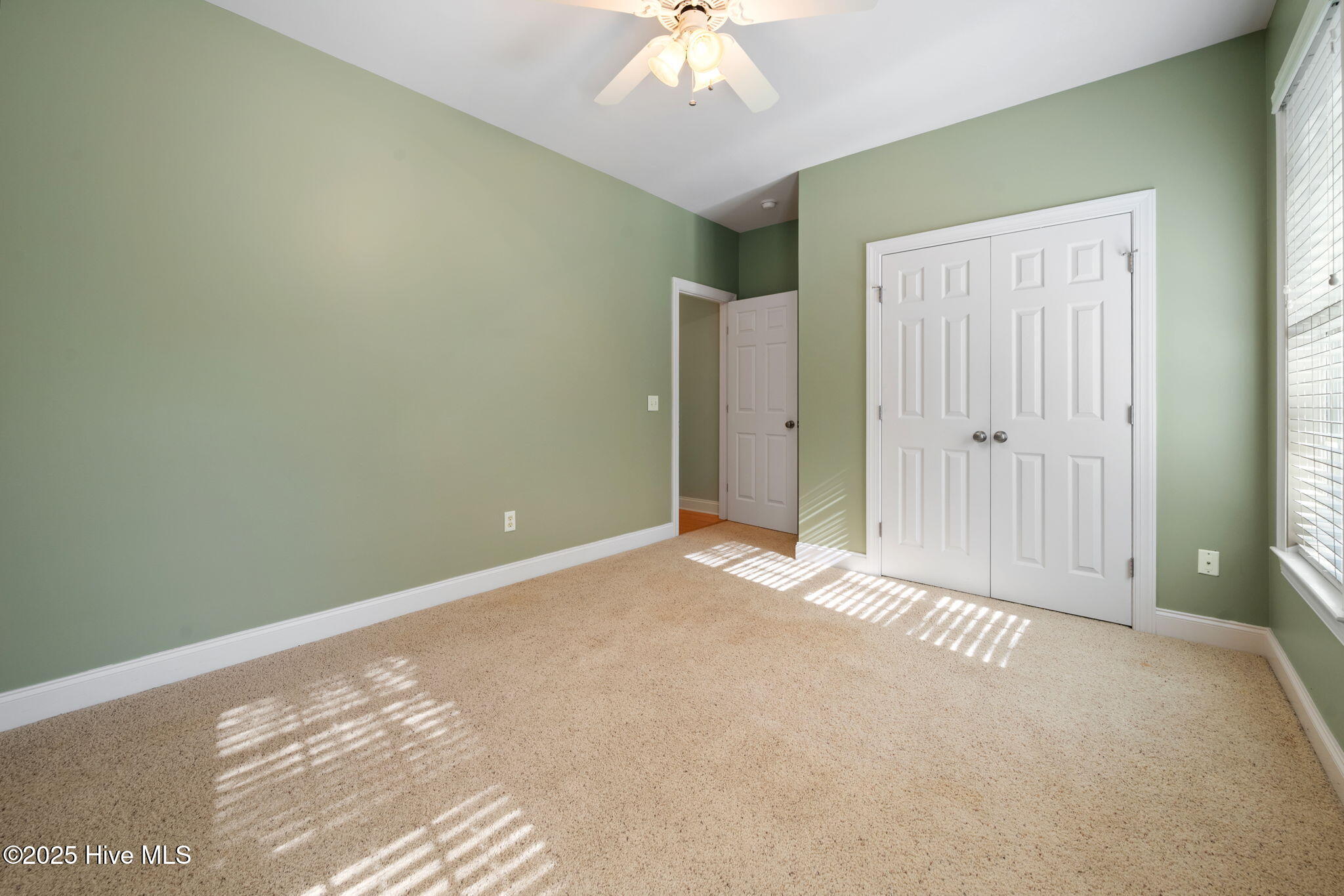 100538167 | Photo 32