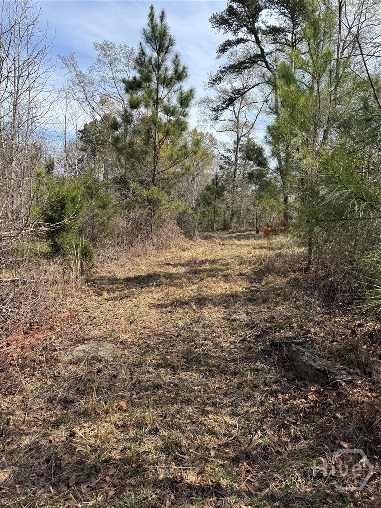 738 Old Mineral Springs Road, Elberton, GA, 30635