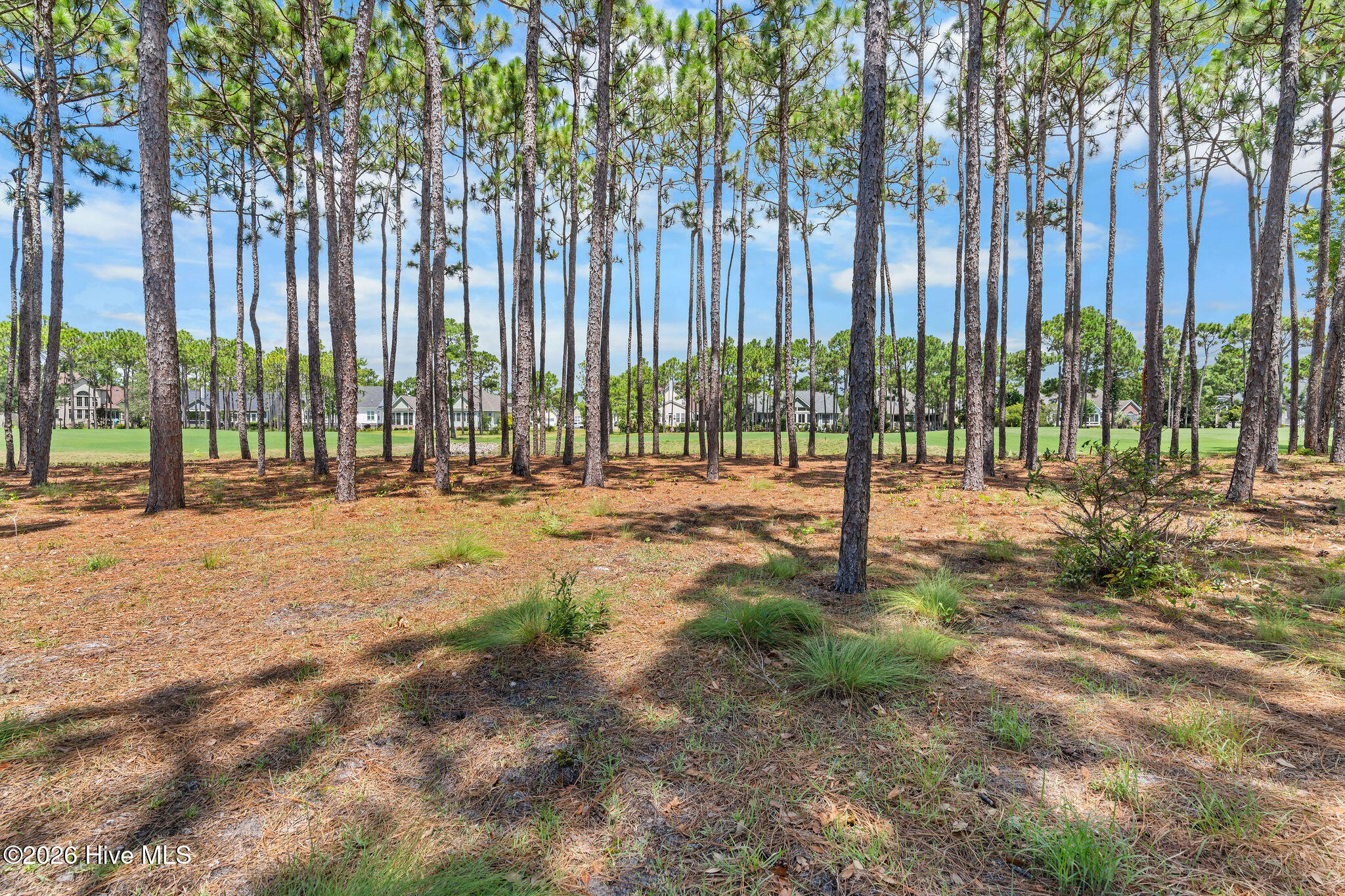 100548545 | Photo 61