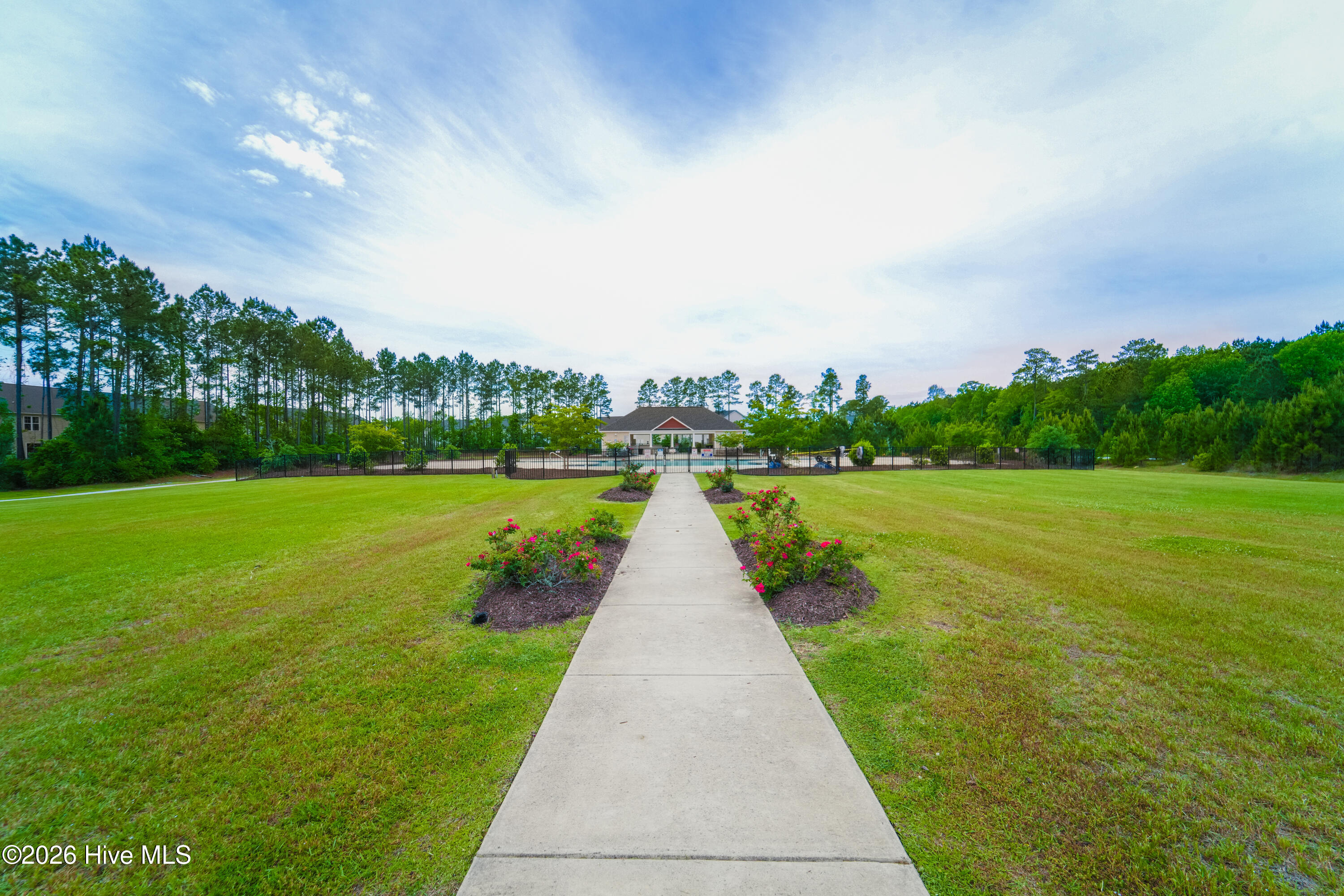 100570478 | Photo 50