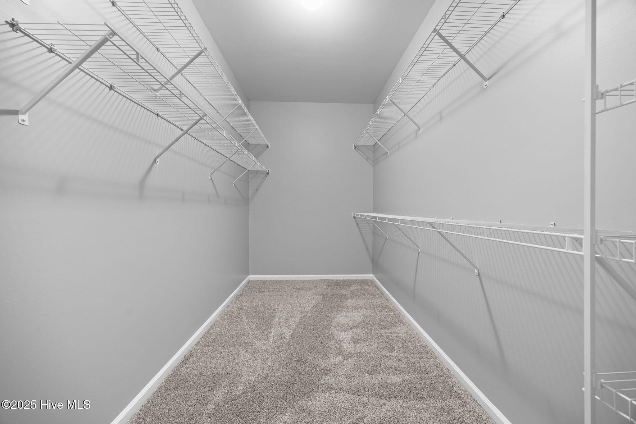 100533733 | Photo 12