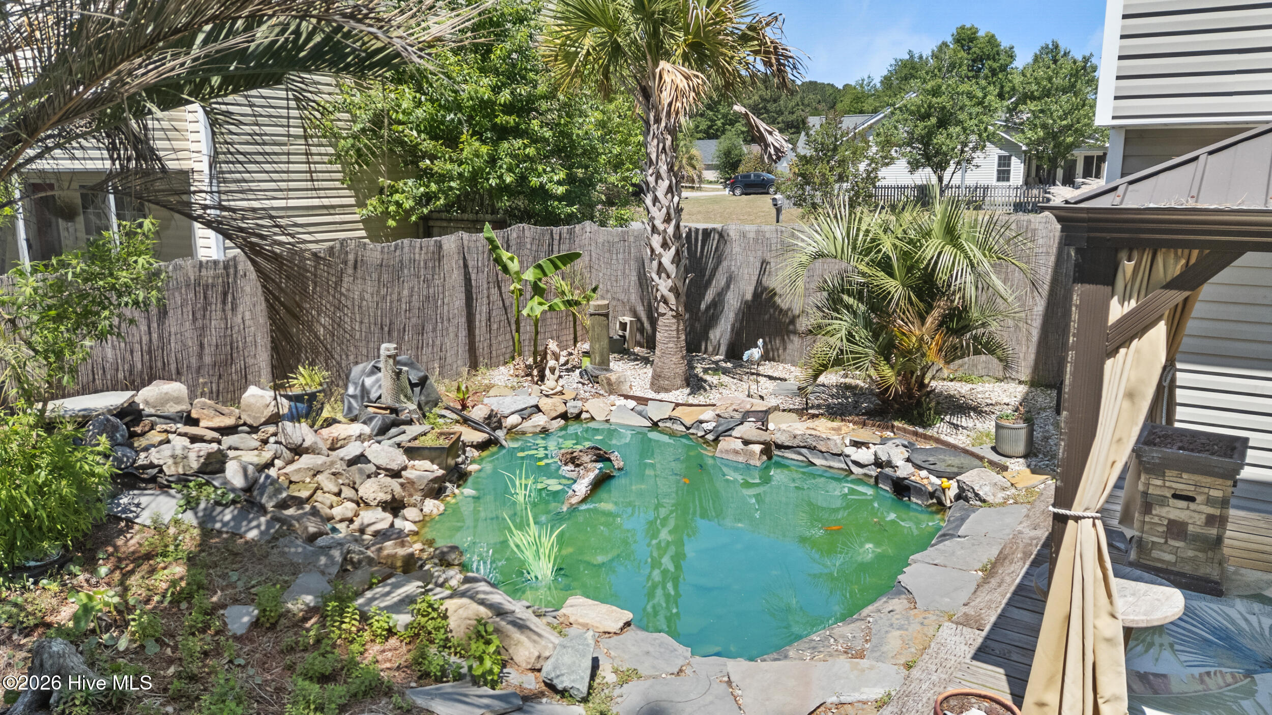 100569282 | Photo 42