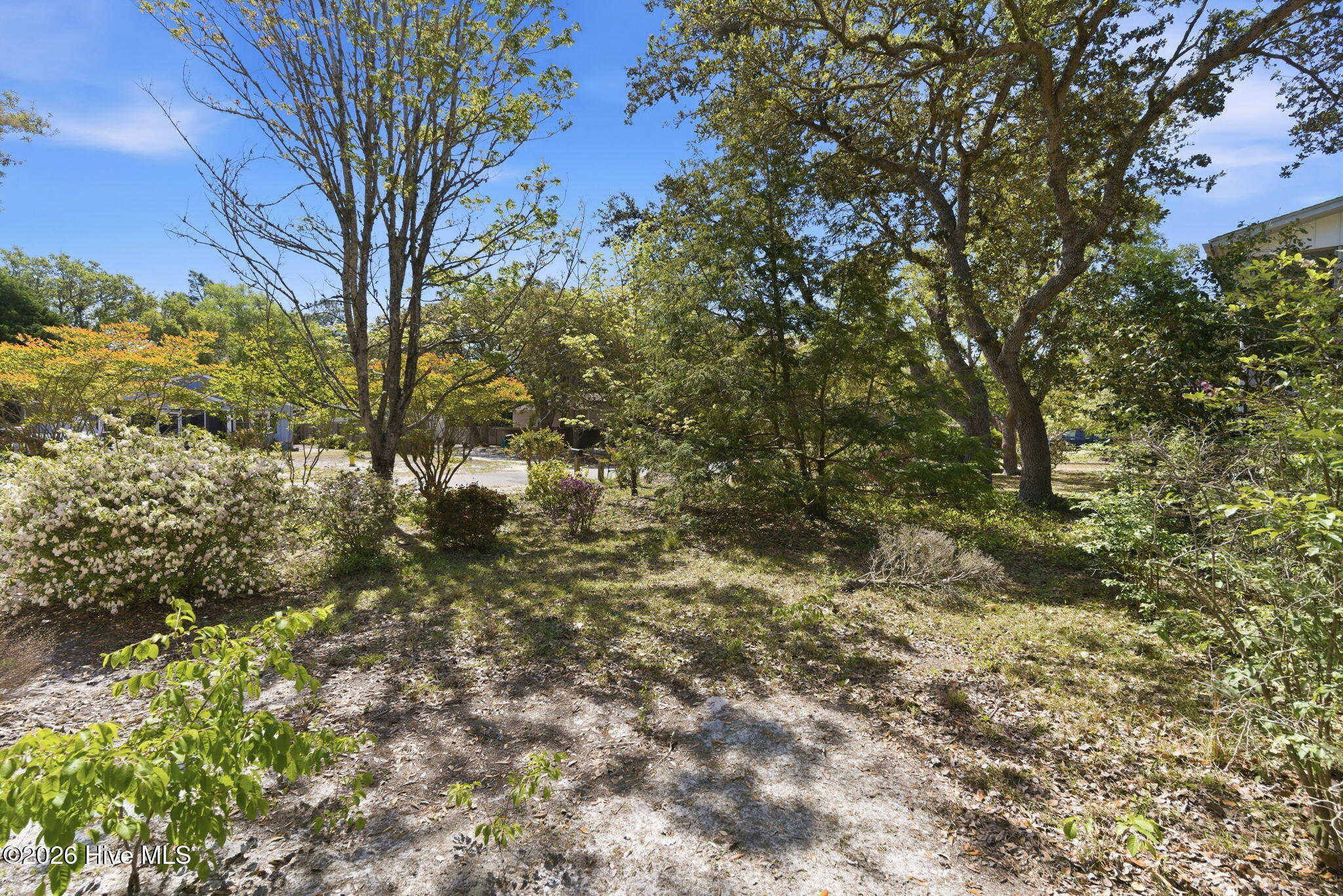 Shirley Johnson - MLS Number: 100566902