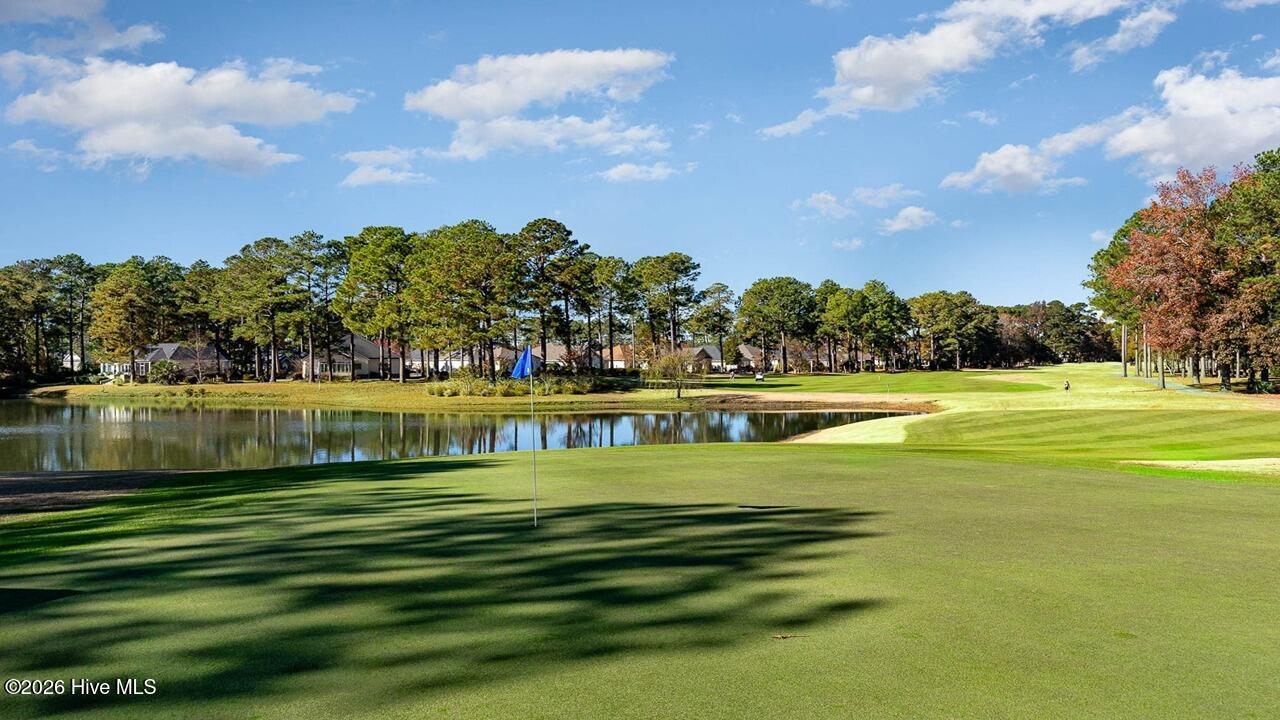 100567128 | Photo 12