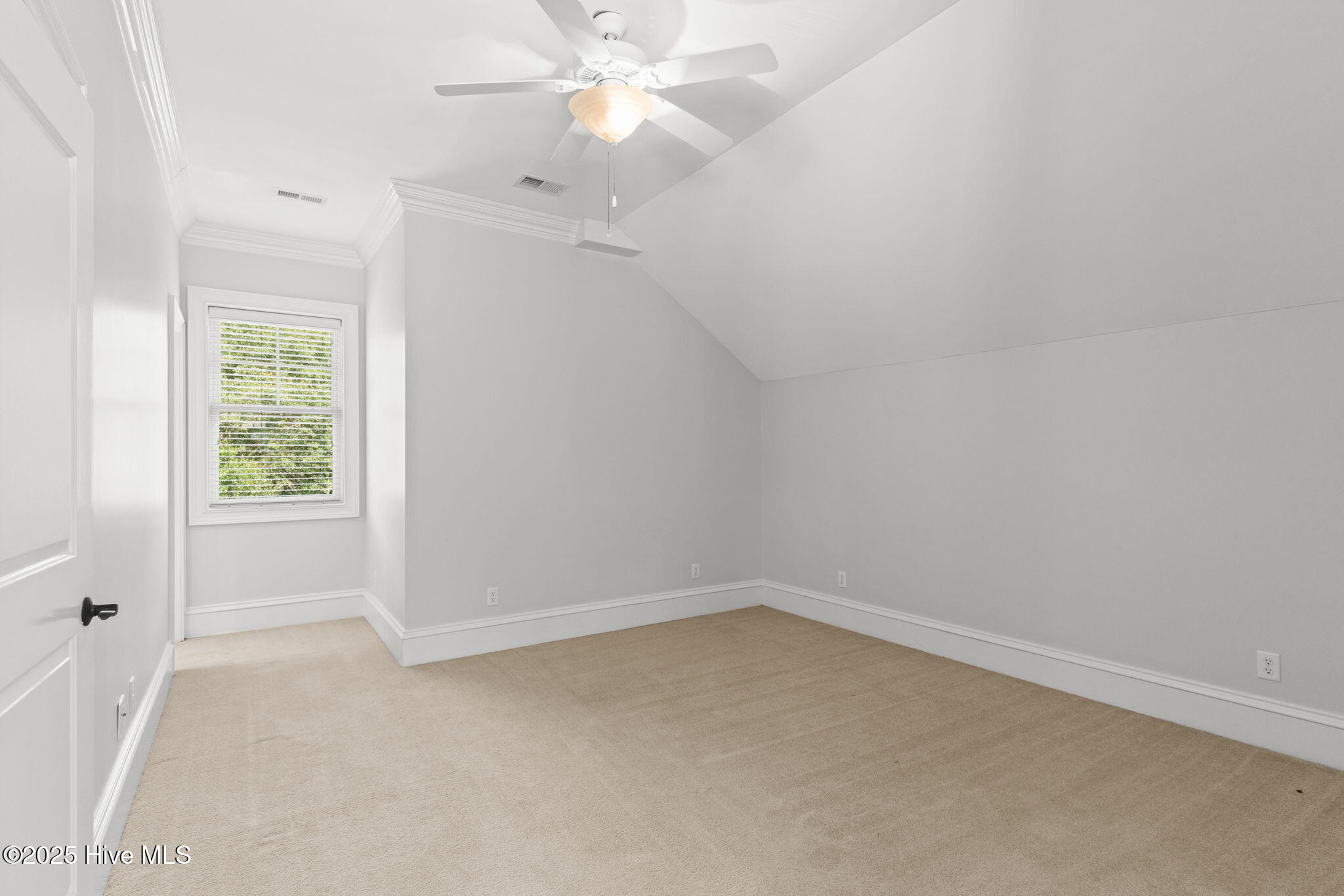 100512246 | Photo 40