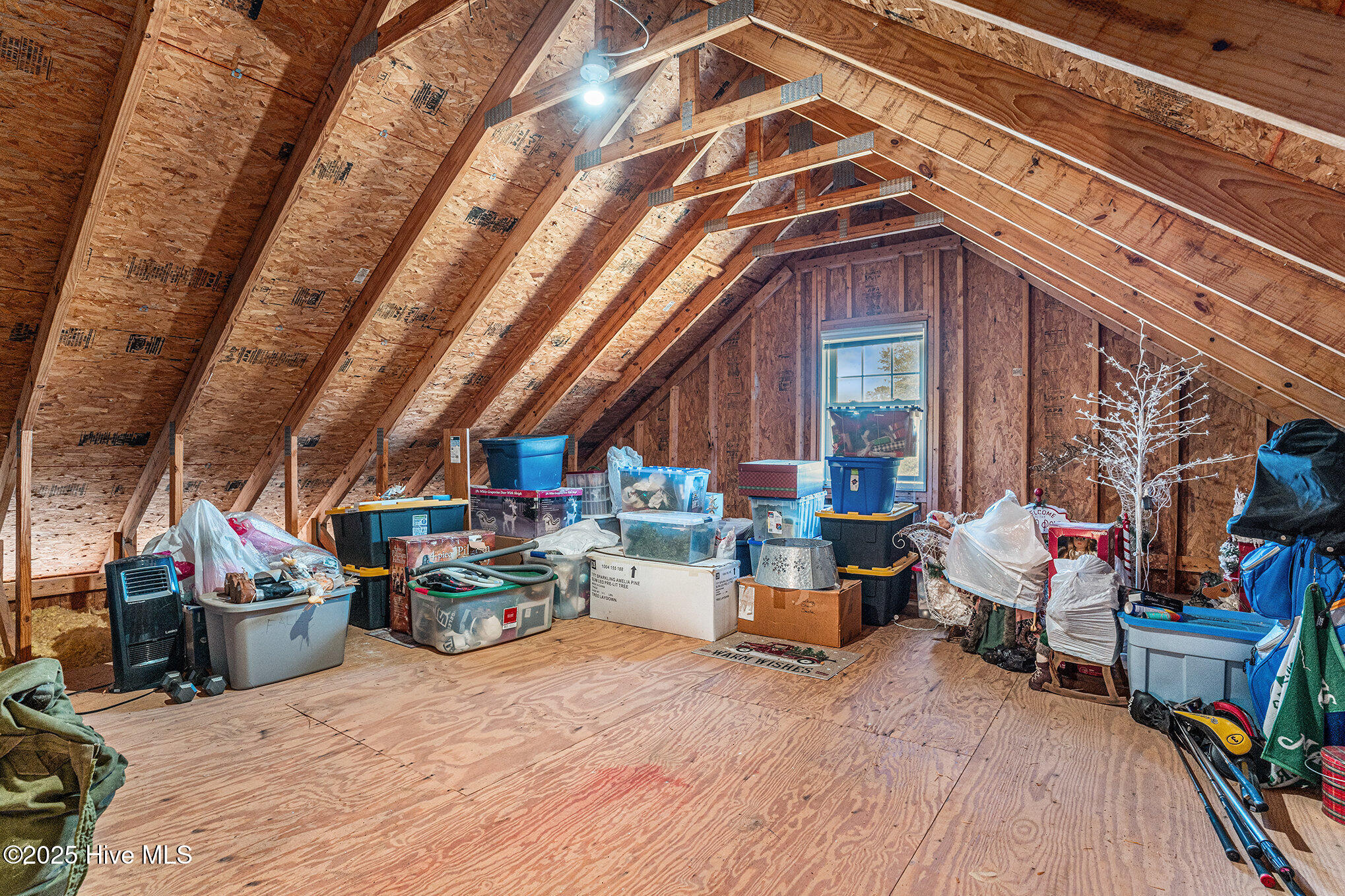 100539757 | Photo 26