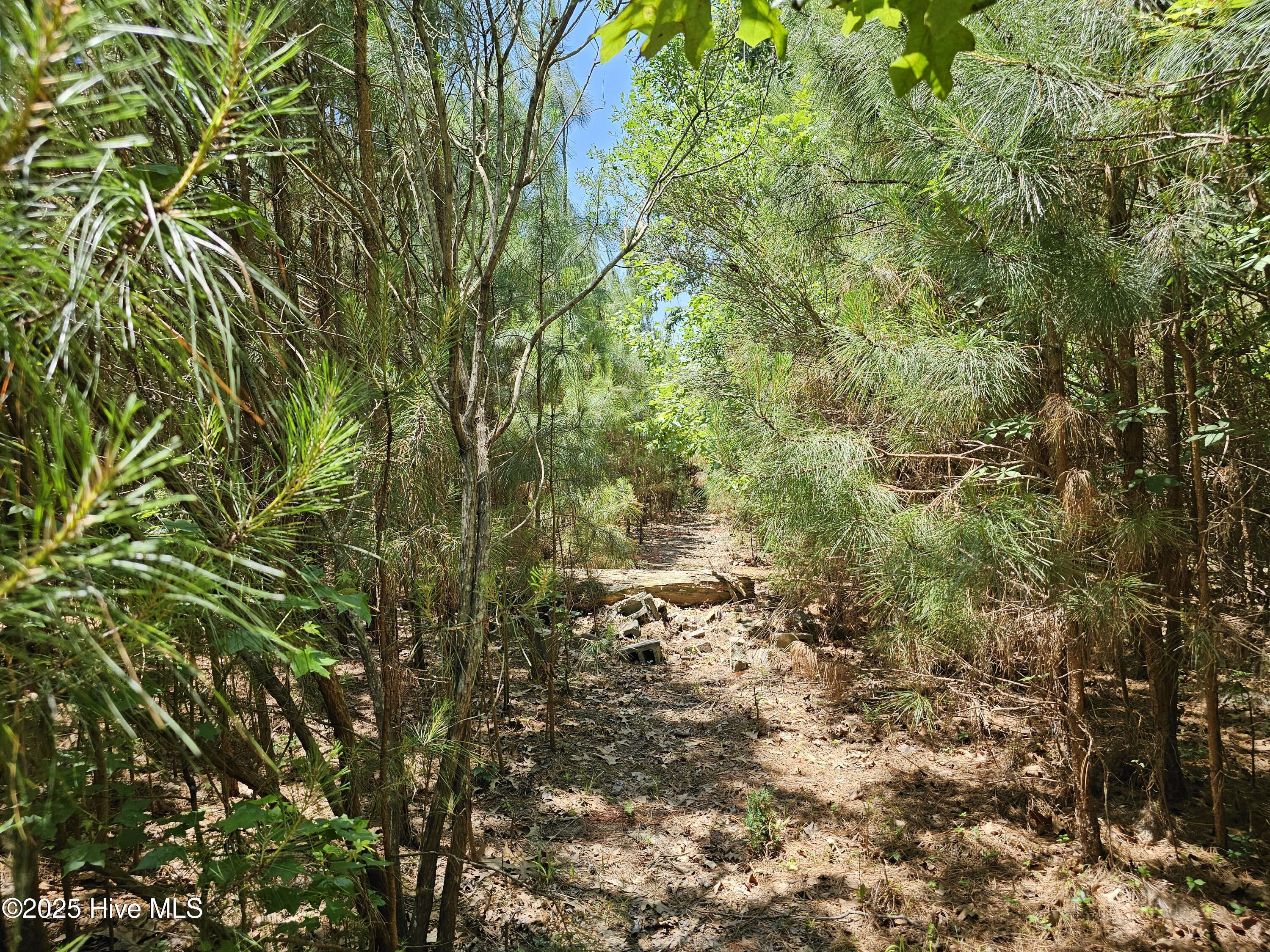 9, 10, 11 Peninsula Shores Way, Hertford, NC, 27944