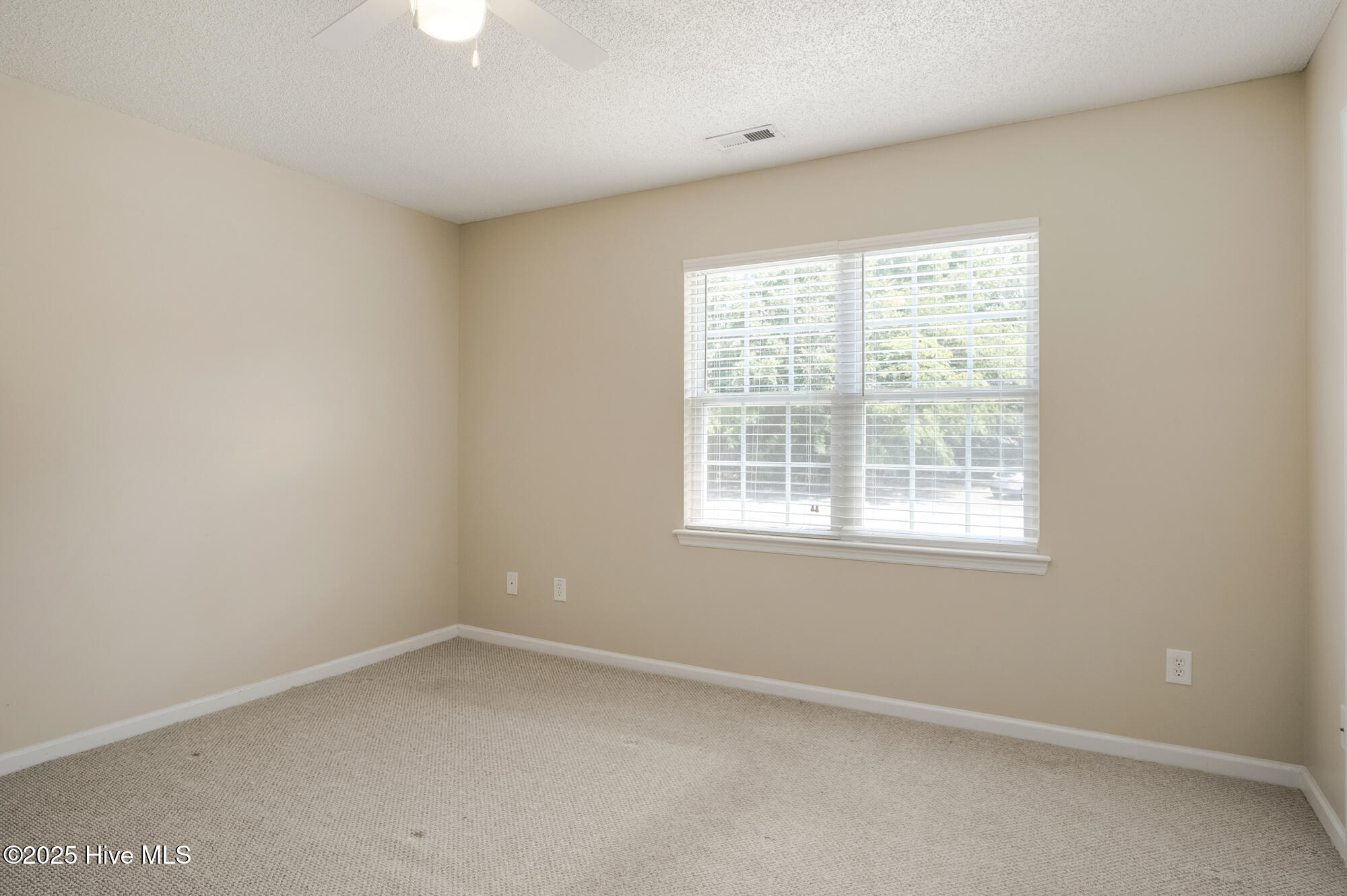 100546493 | Photo 17