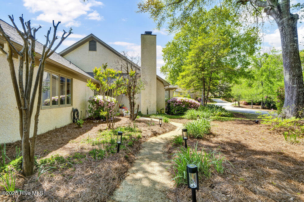 100551135 | Photo 30