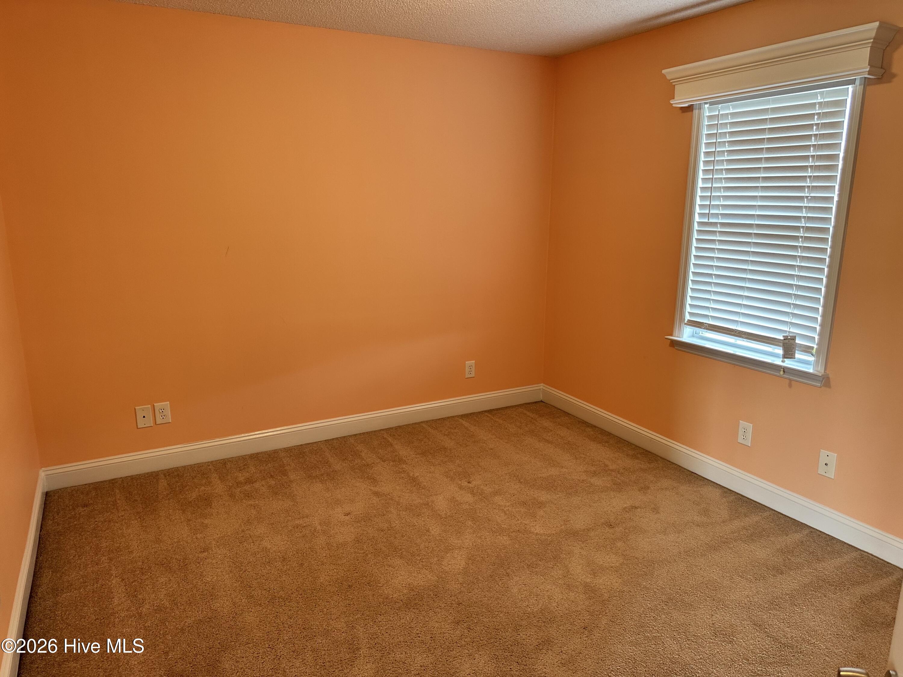 100556264 | Photo 19