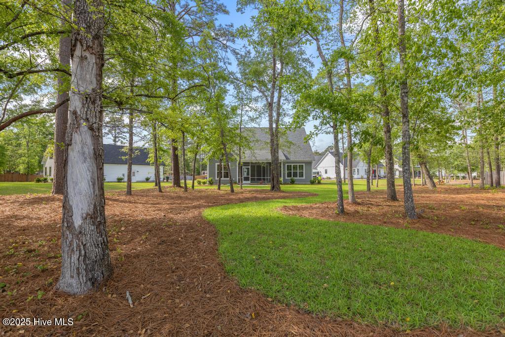 100535859 | Photo 44