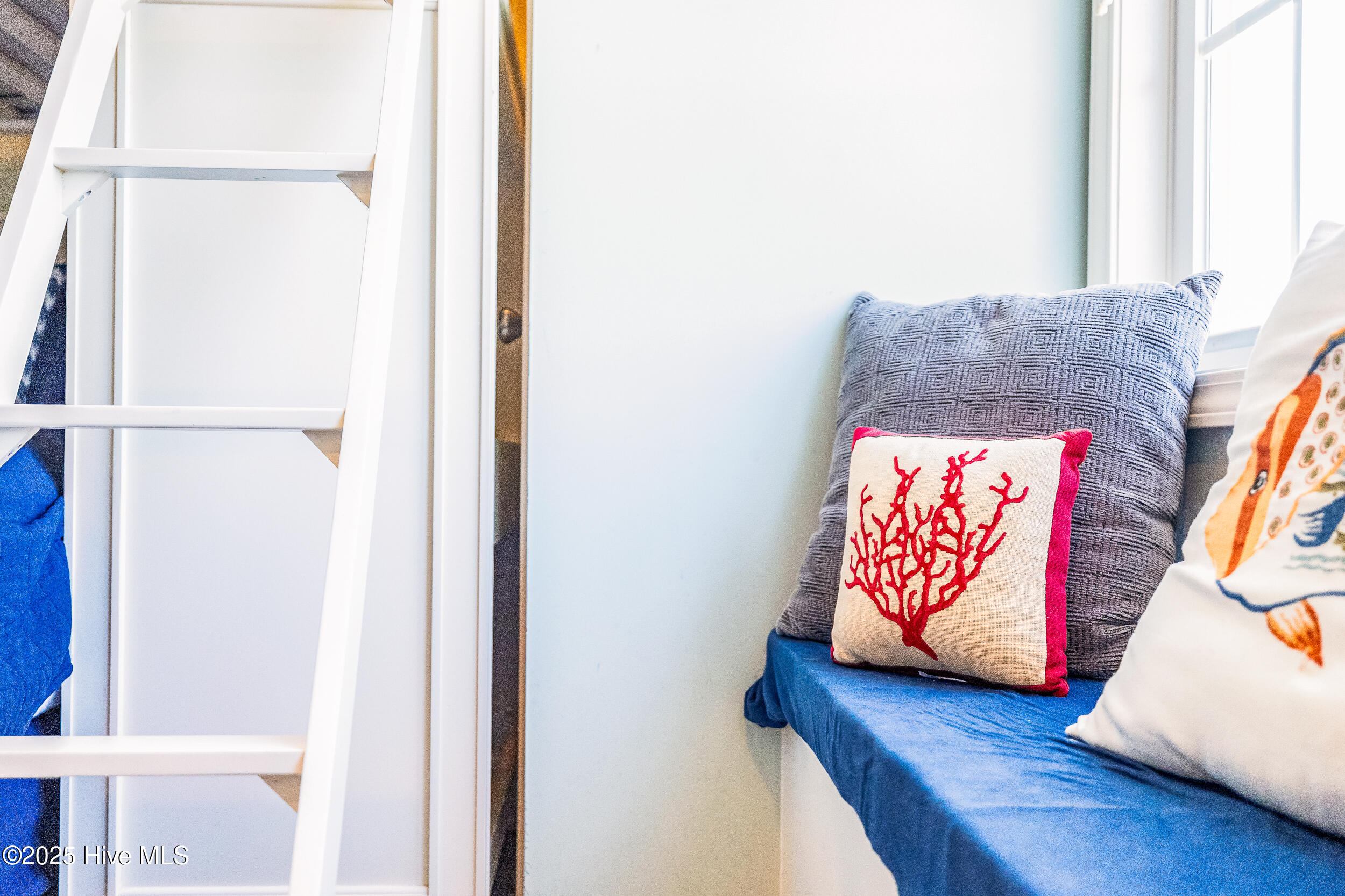 100509917 | Photo 33