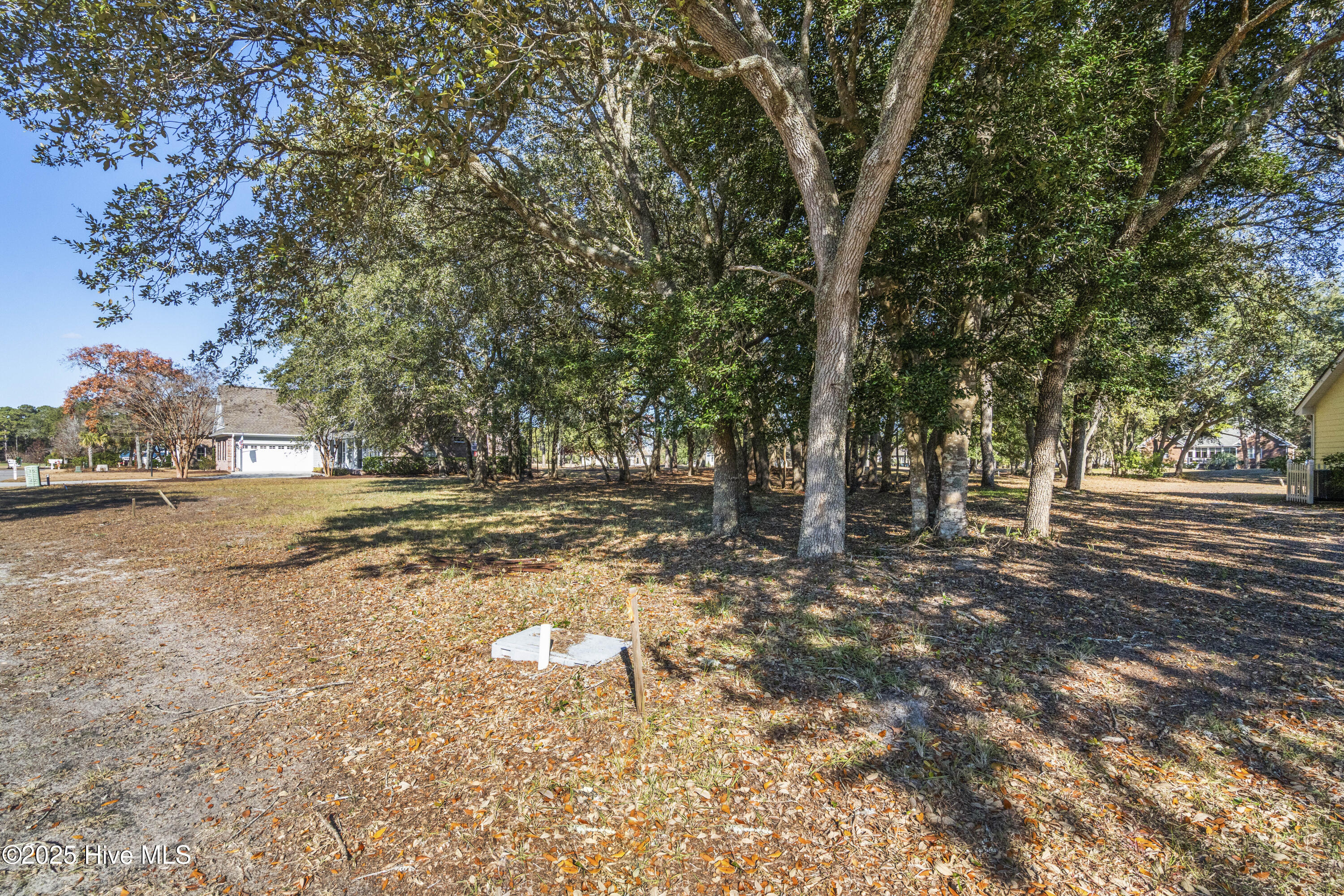 100545333 | Photo 10