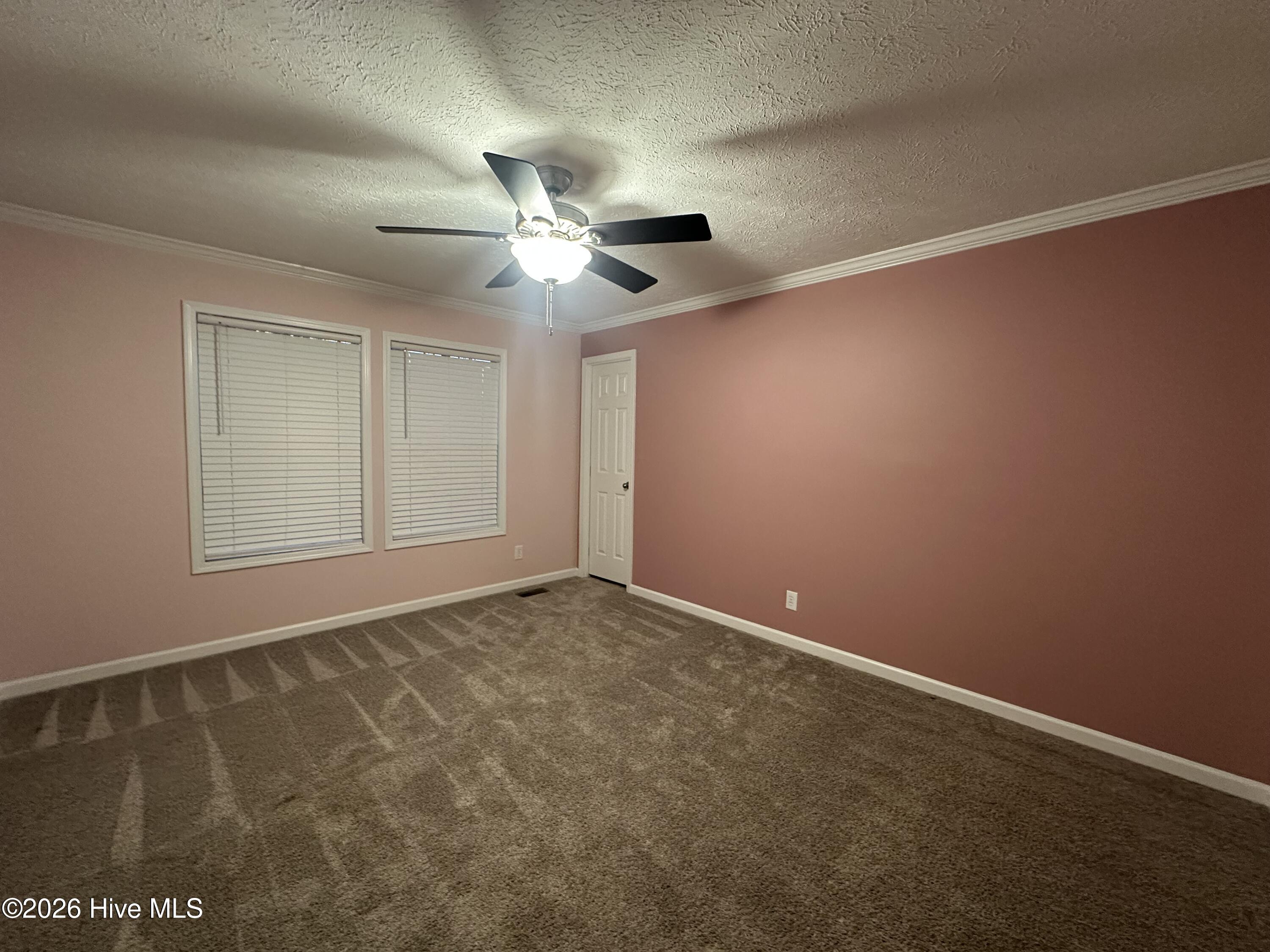 100550398 | Photo 24