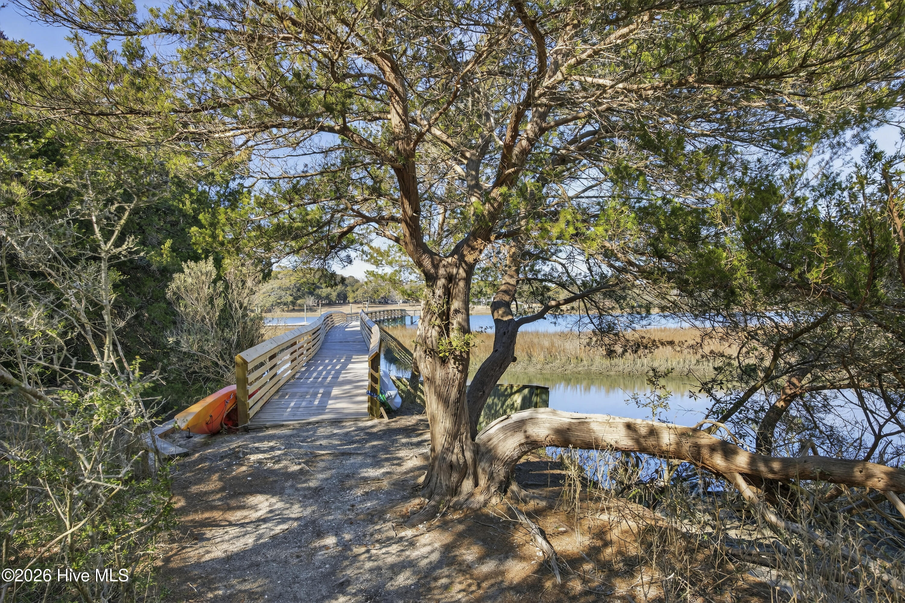 100554981 | Photo 48