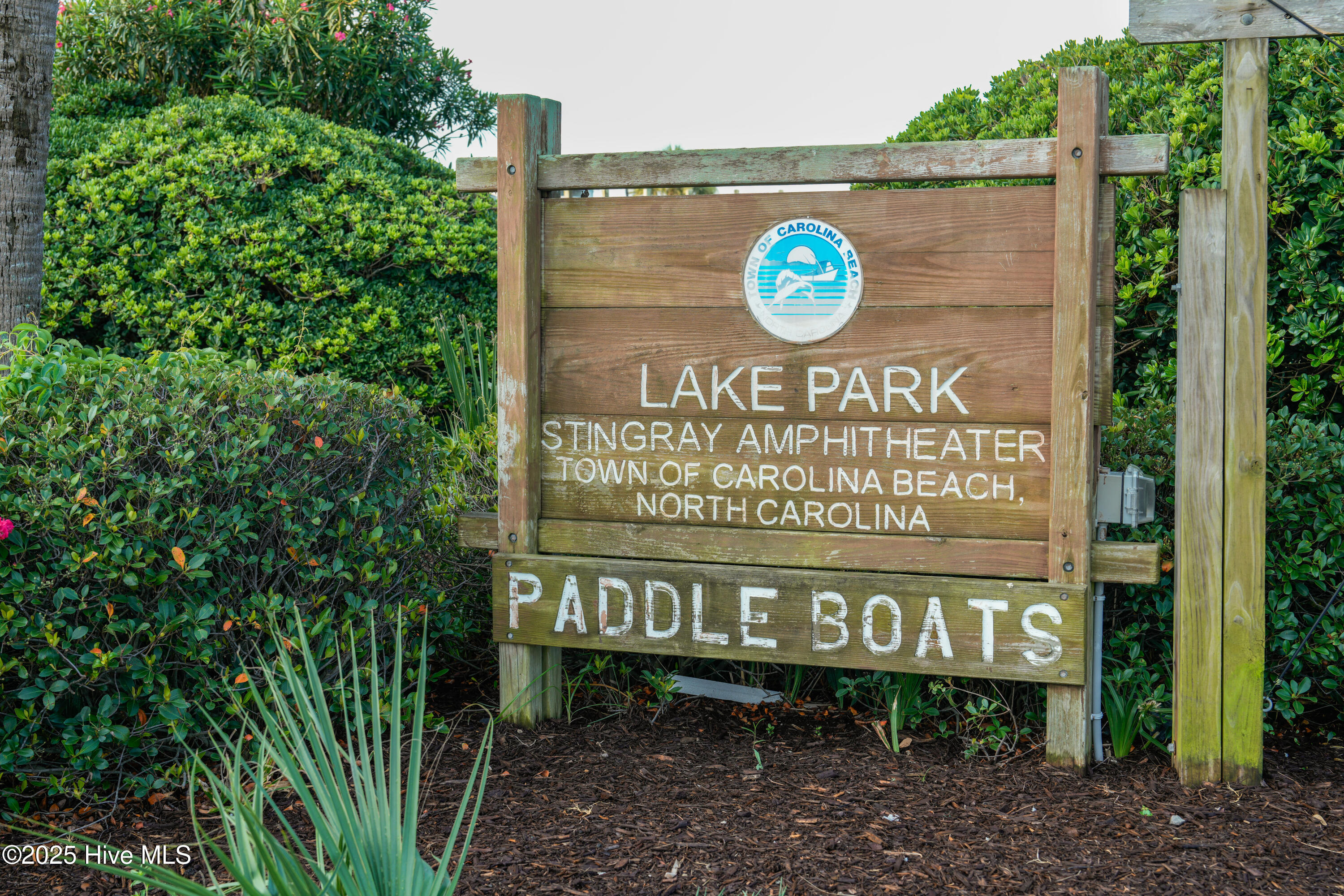 100494864 | Photo 57