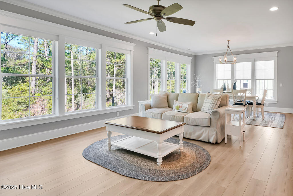 100537536 | Photo 23