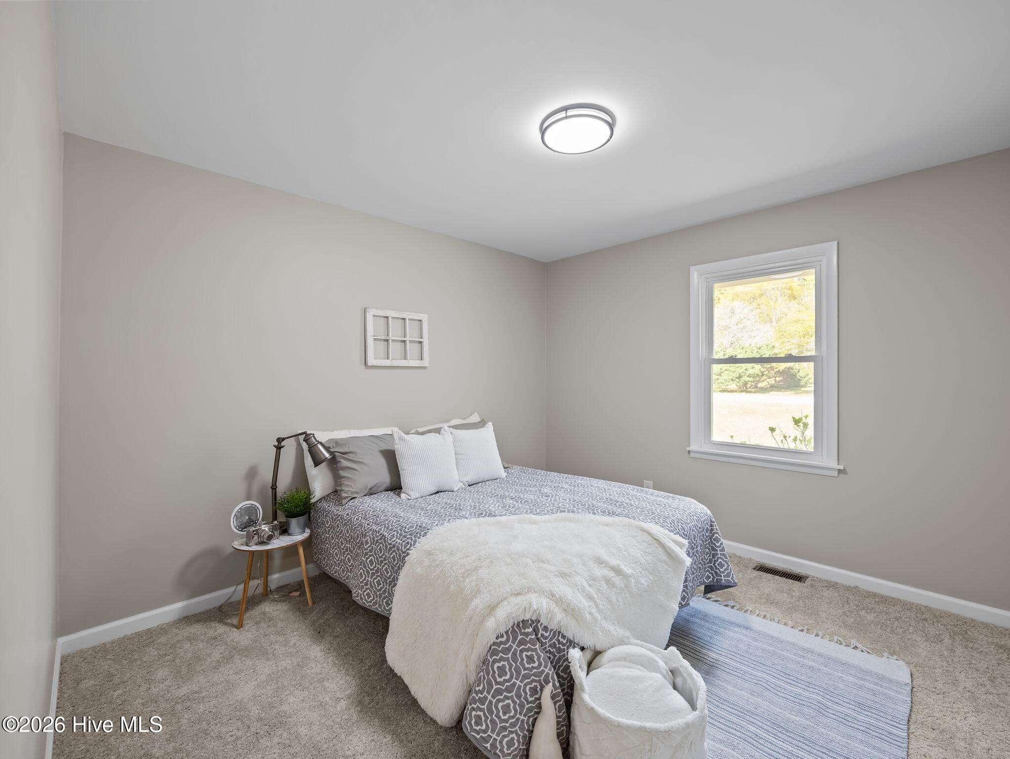 100562789 | Photo 23