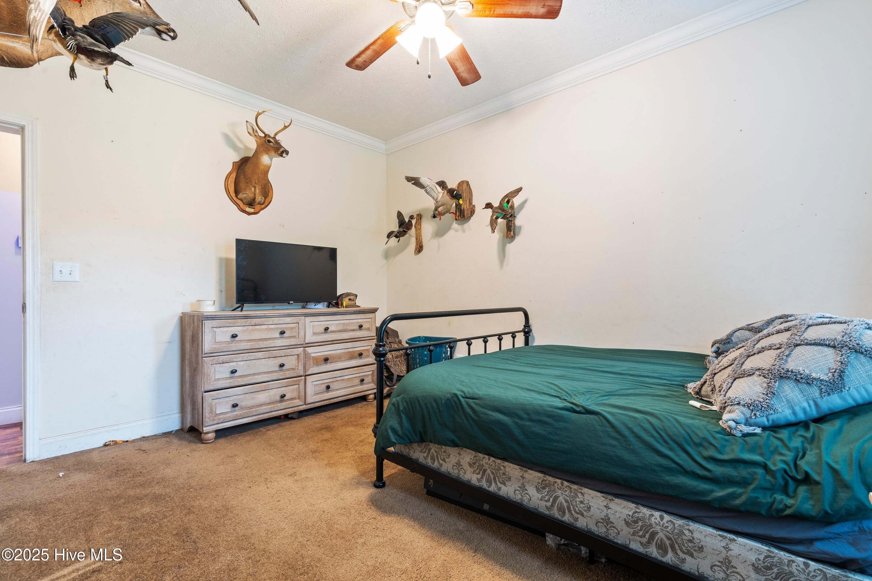 100537388 | Photo 48