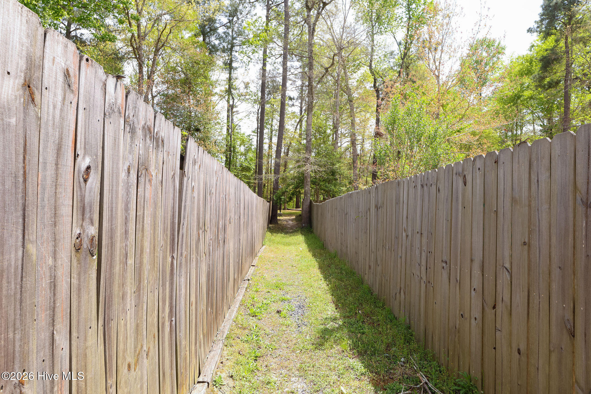 100565311 | Photo 54