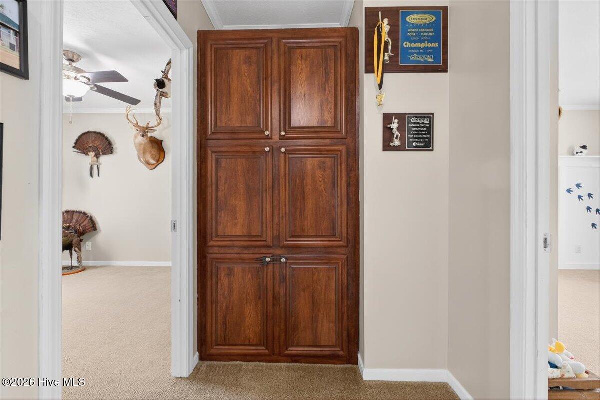 100551203 | Photo 34