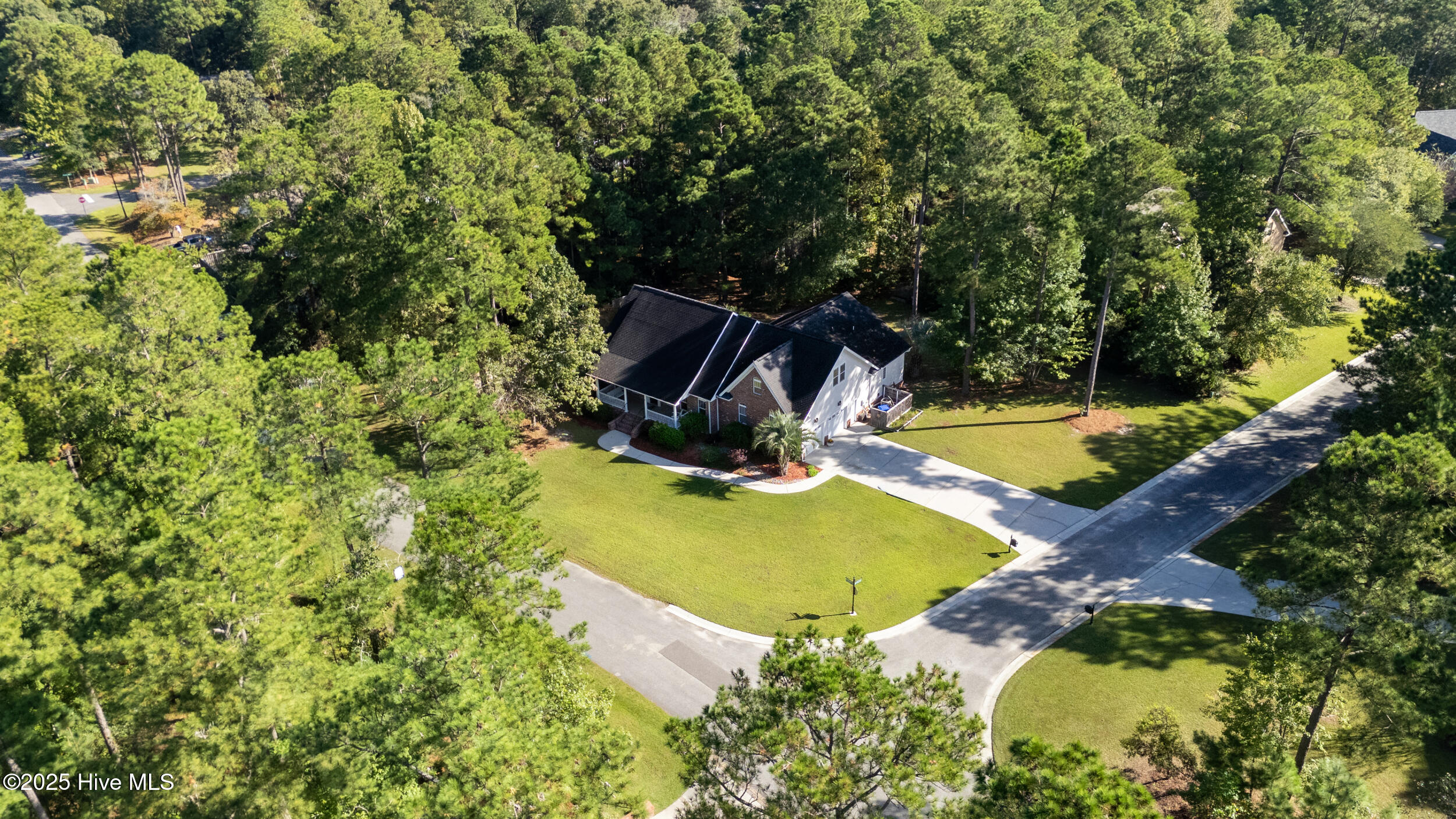 100534384 | Photo 52