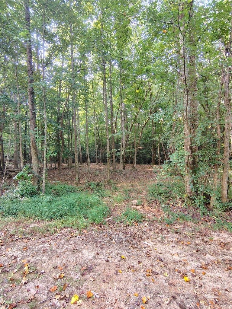 261 Brad St, Royston, Georgia, 0 ,Land,For sale,Brad St,CL363242 261 Brad St, Royston, Georgia, 0 ,Land,For sale,Brad St,CL363242