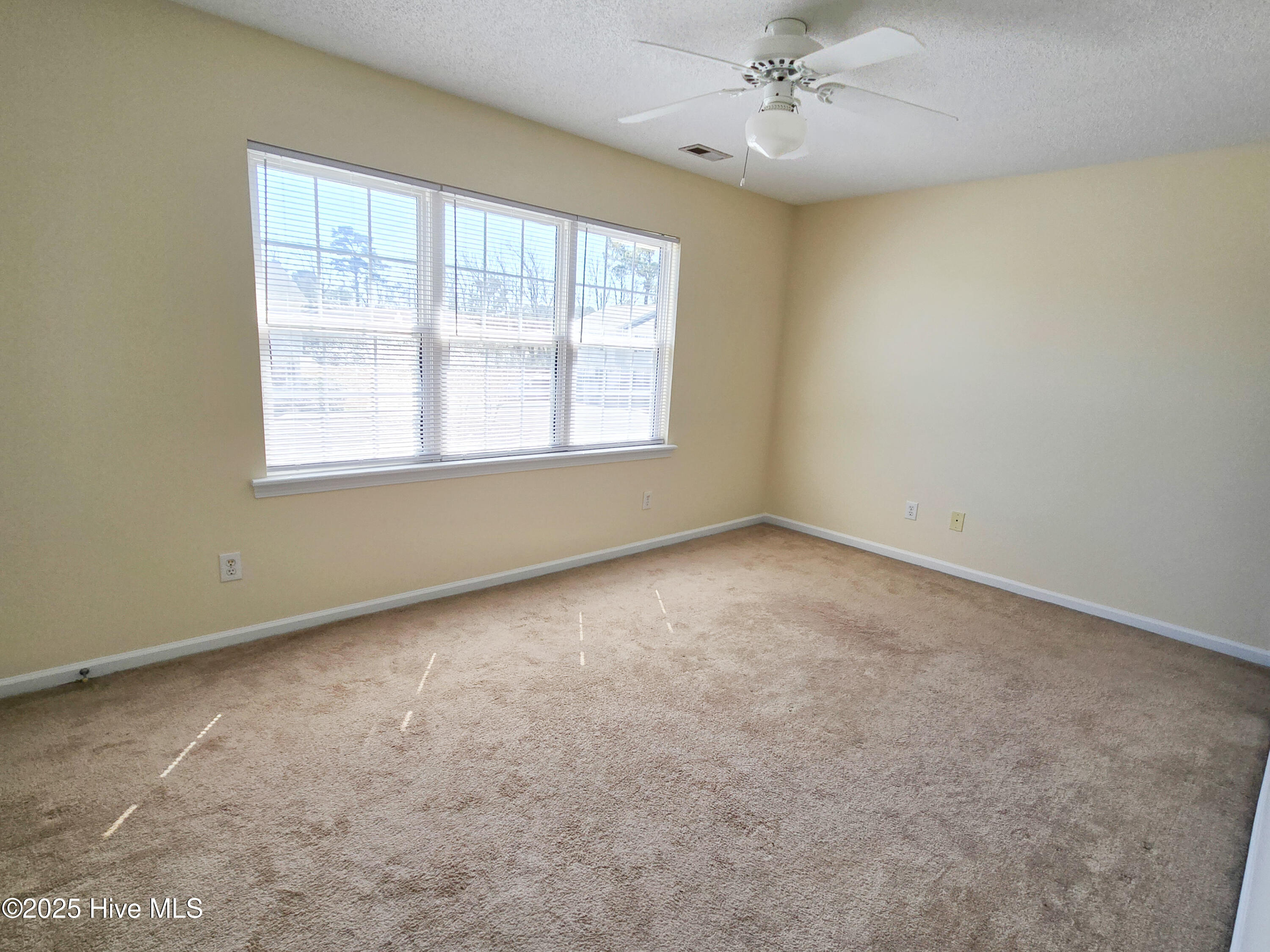 100560763 | Photo 15