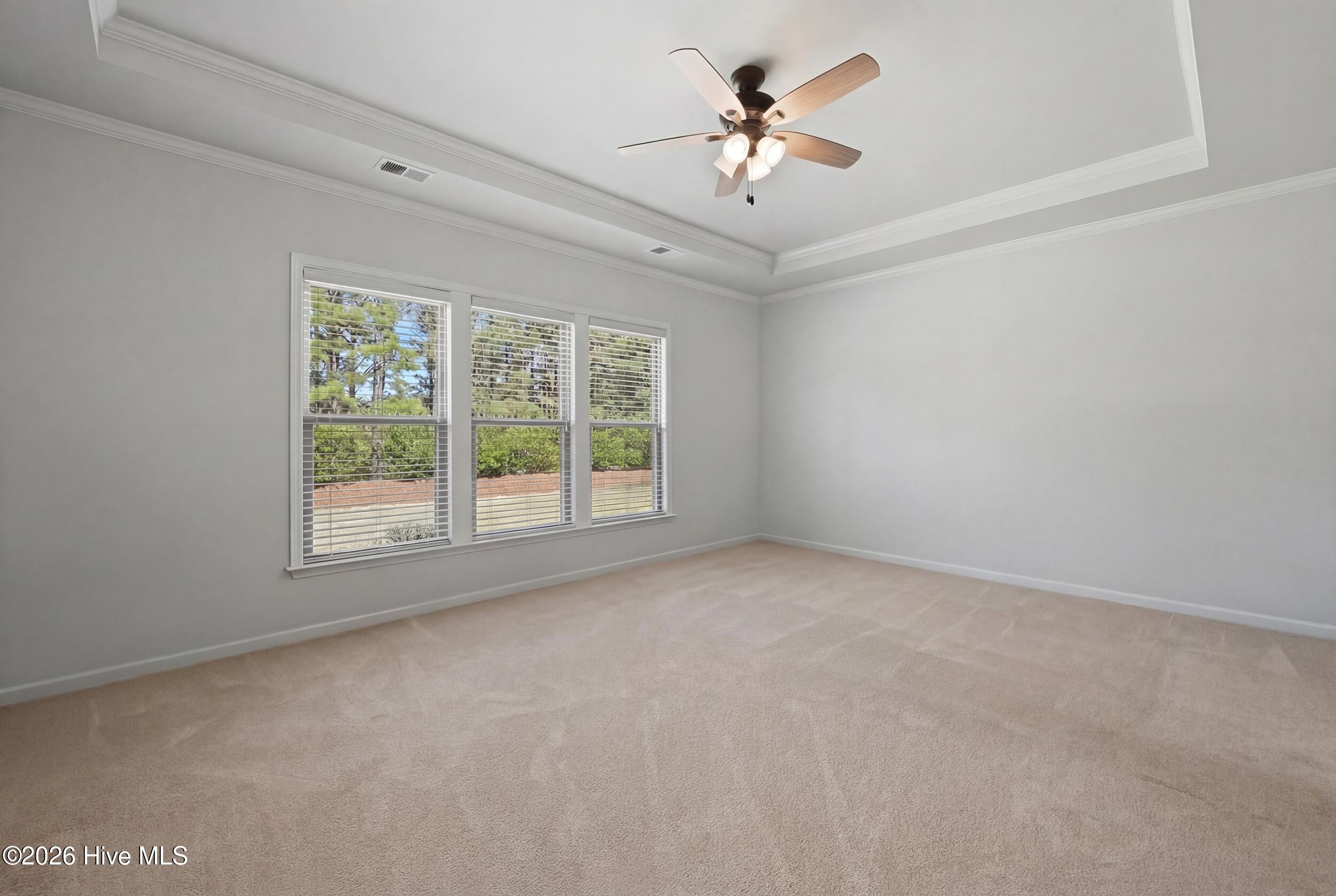 100565292 | Photo 19