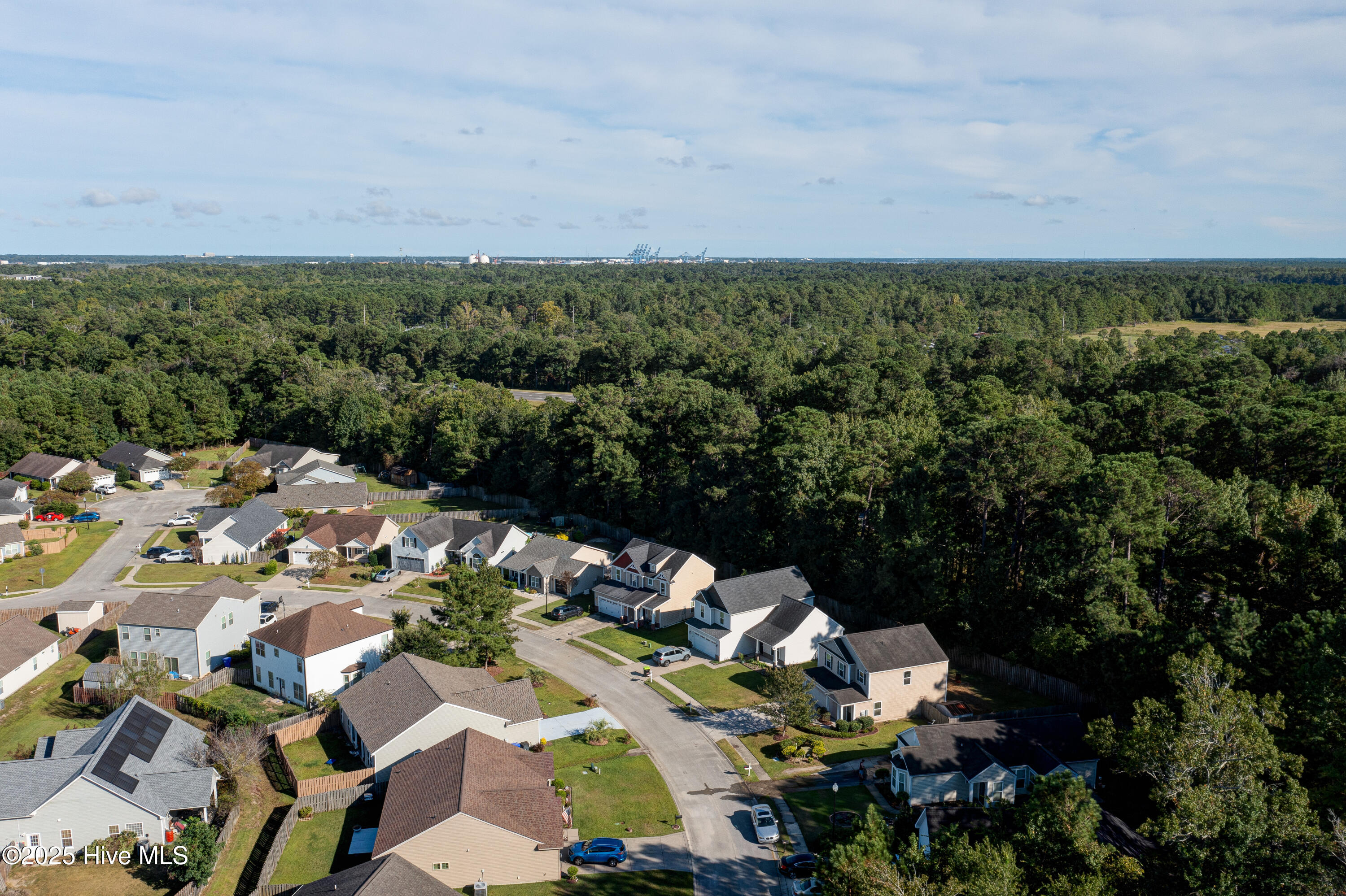 100530947 | Photo 41