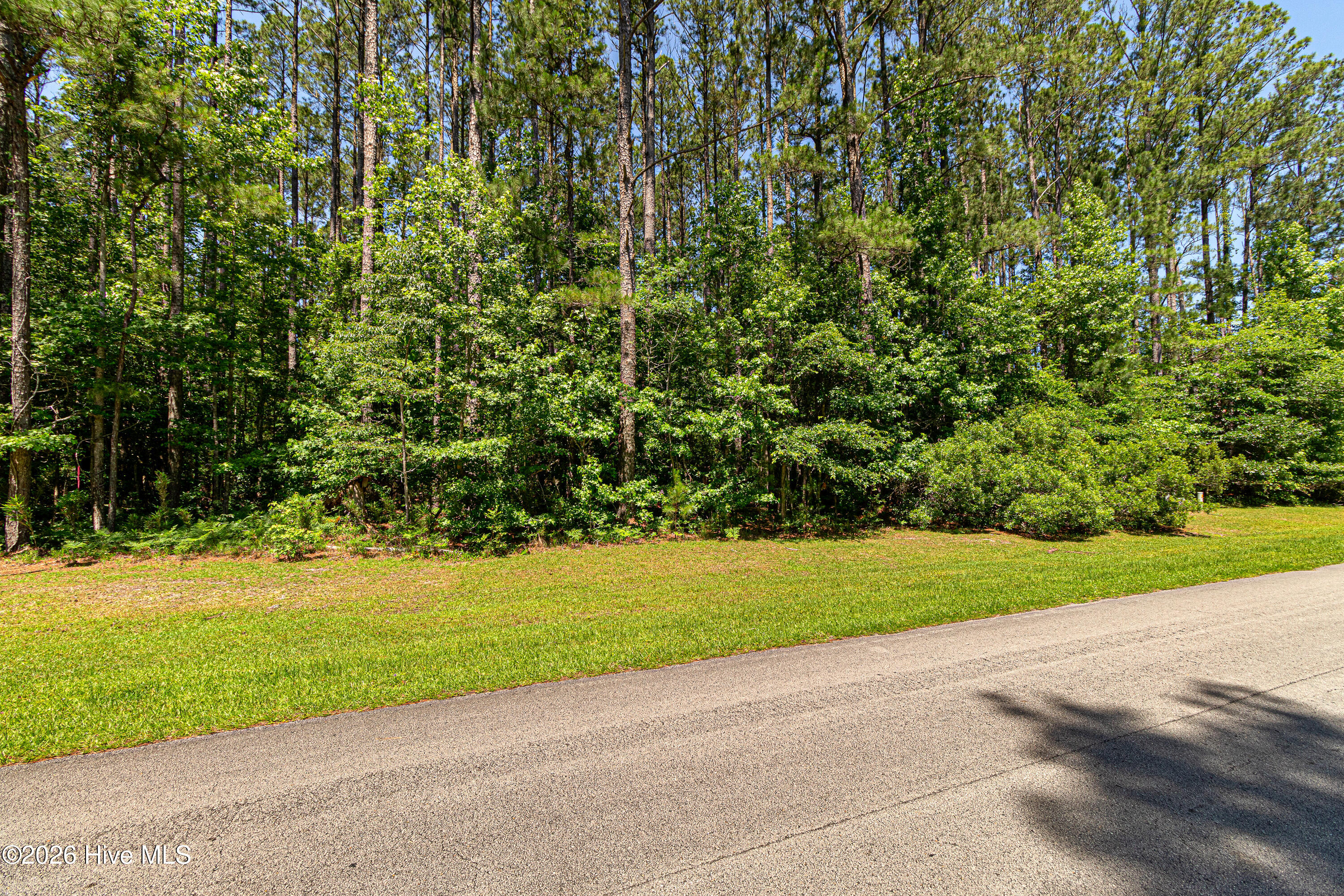 313 Antebellum Drive,Havelock