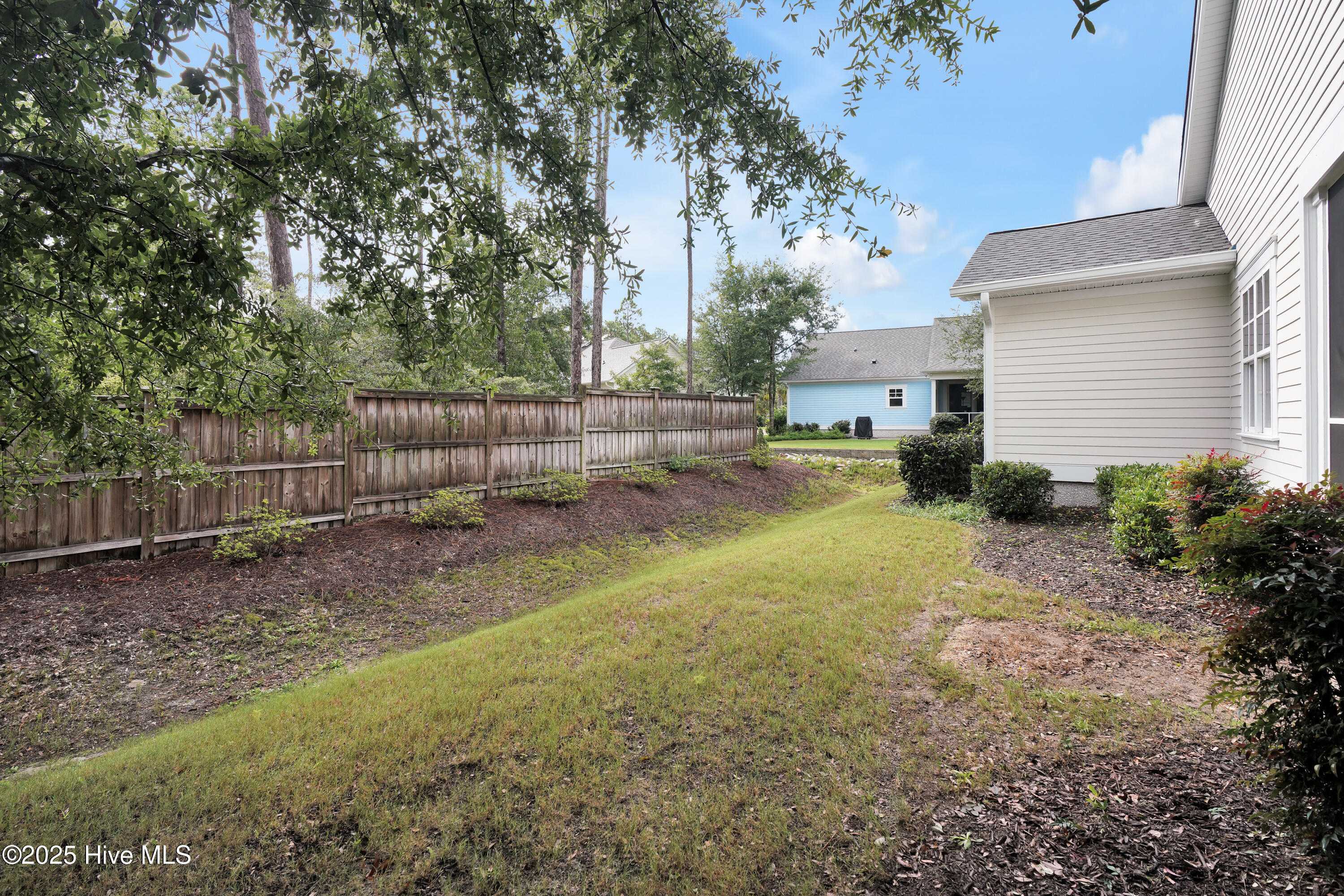 100524954 | Photo 31