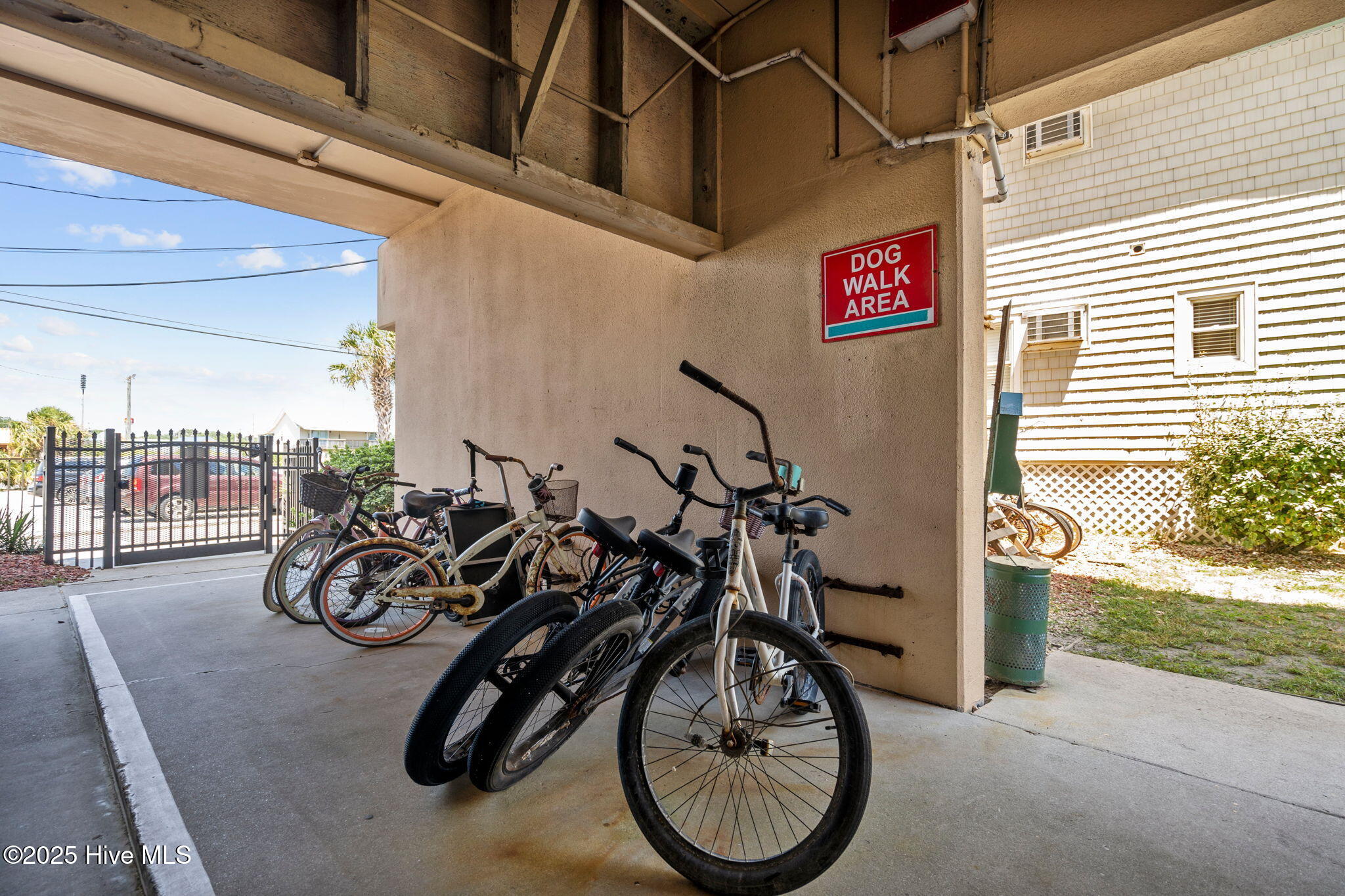 100535263 | Photo 55